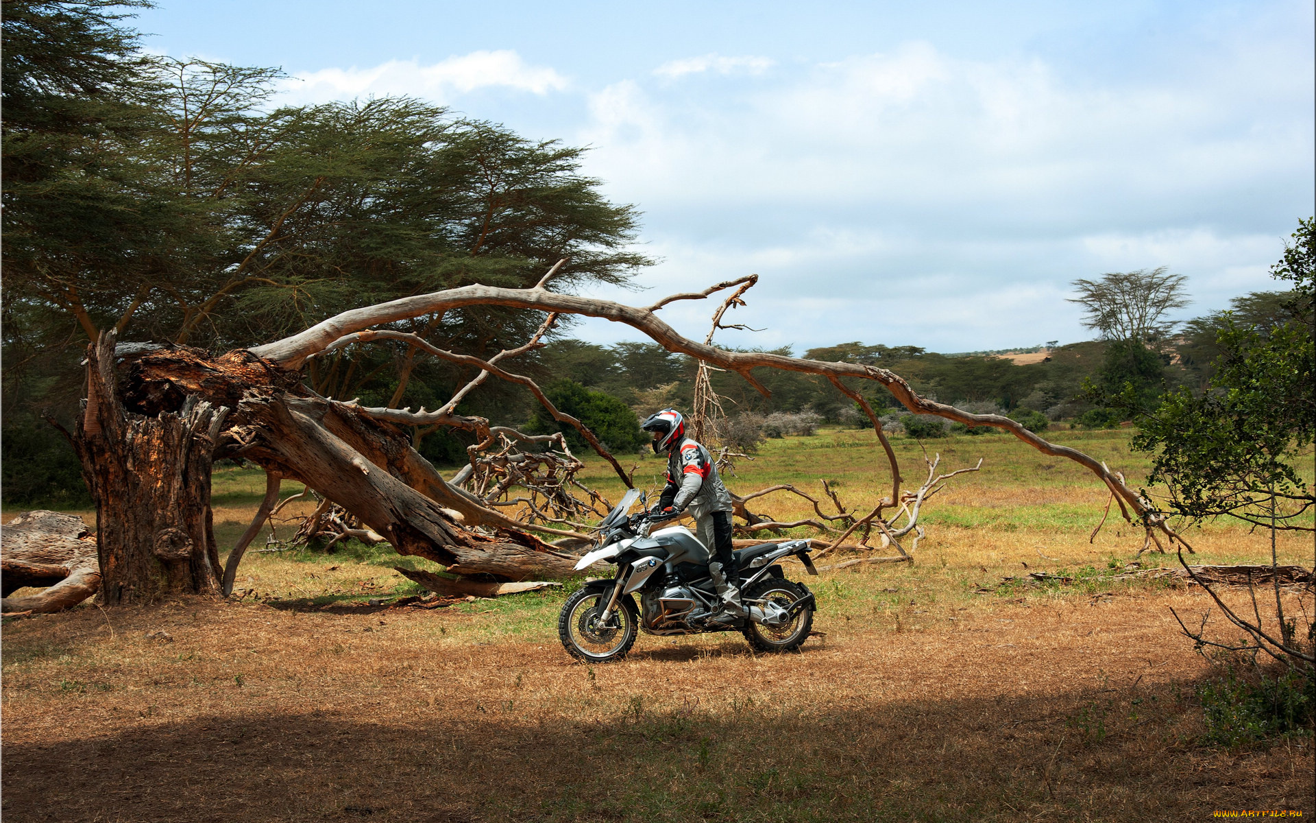 мотоциклы, bmw