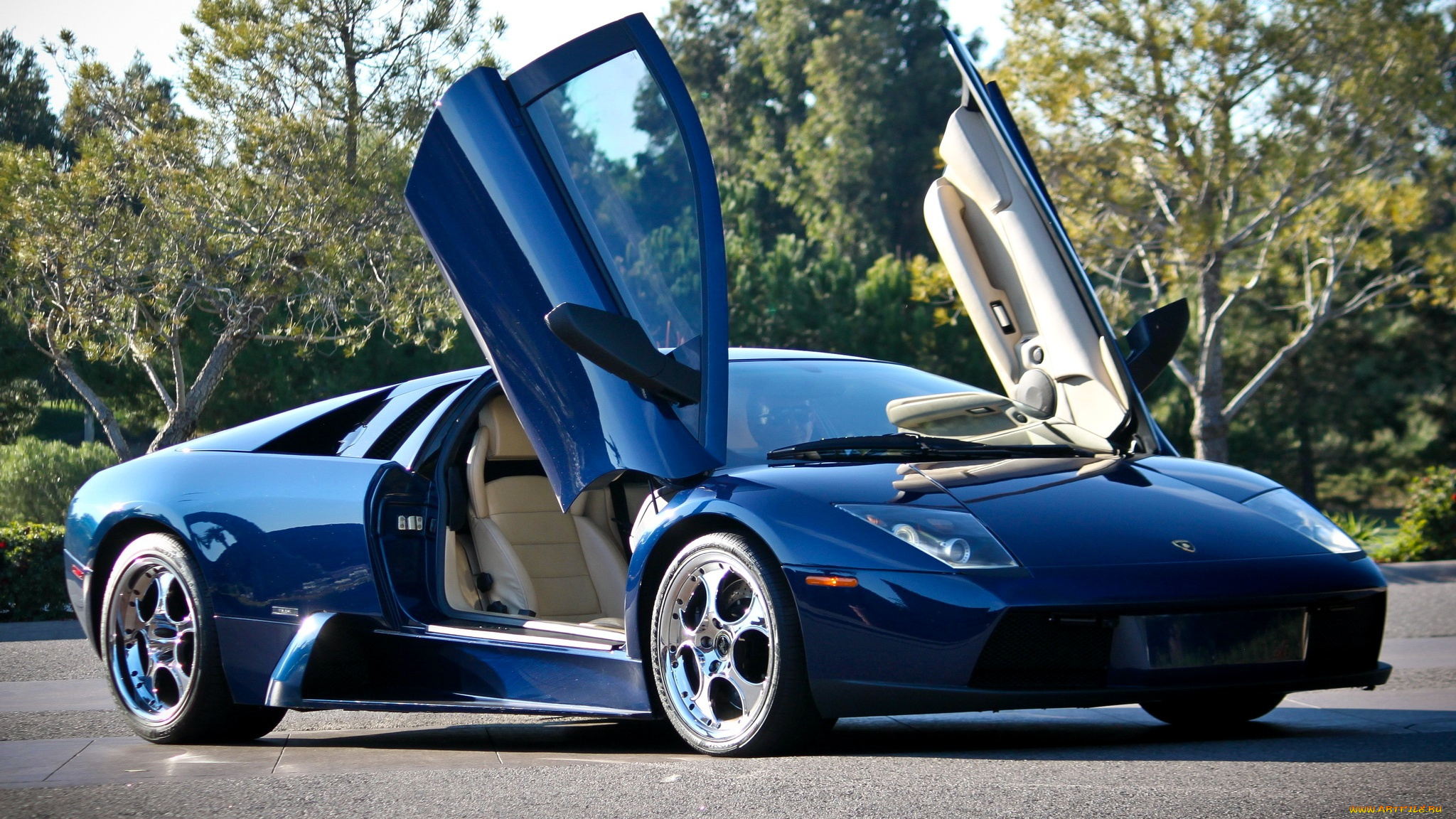 lamborghini, murcielago, автомобили, automobili, s, p, a, италия, спортивные
