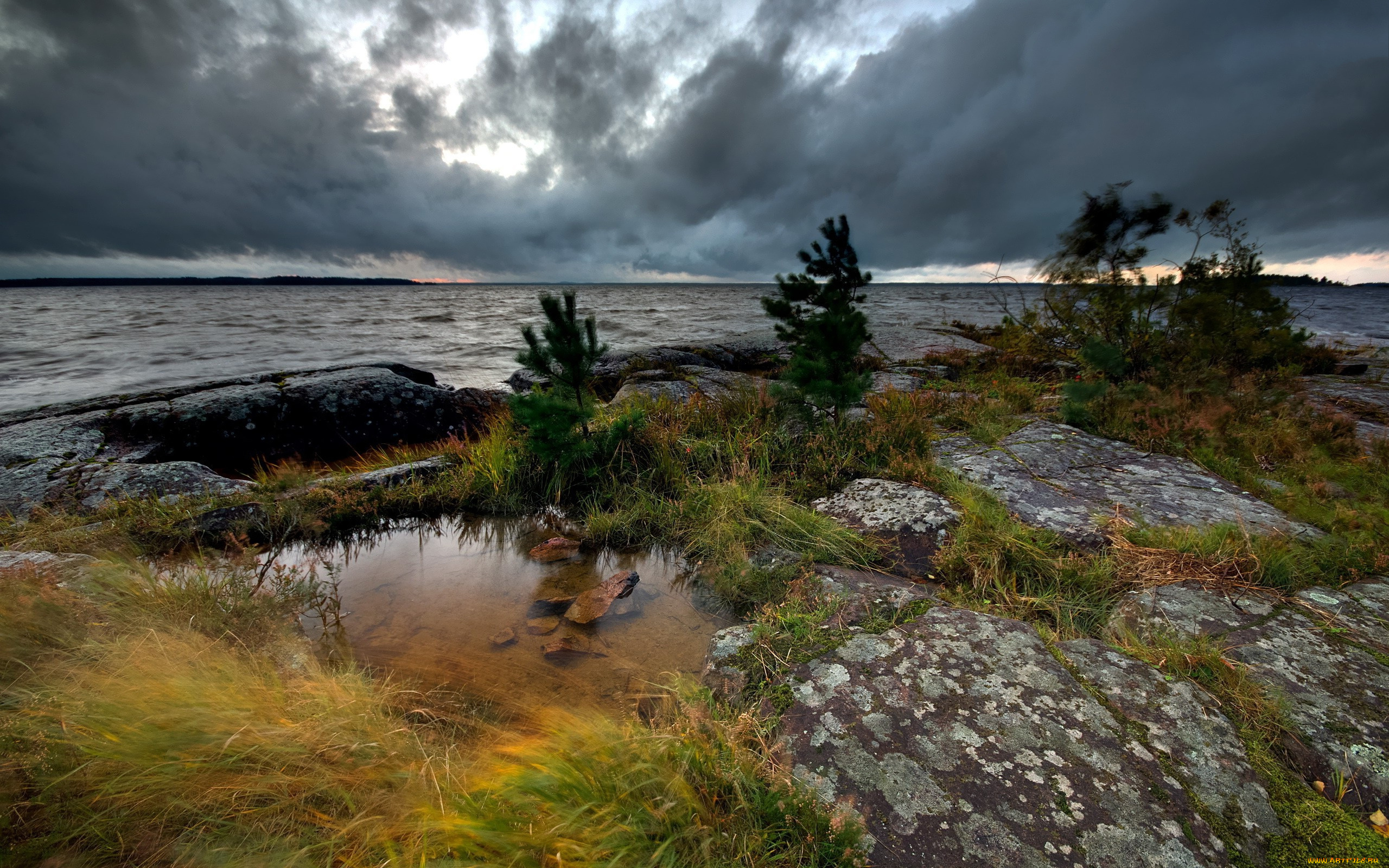 природа, реки, озера, деревца, тучи, сумрак, трава, озеро