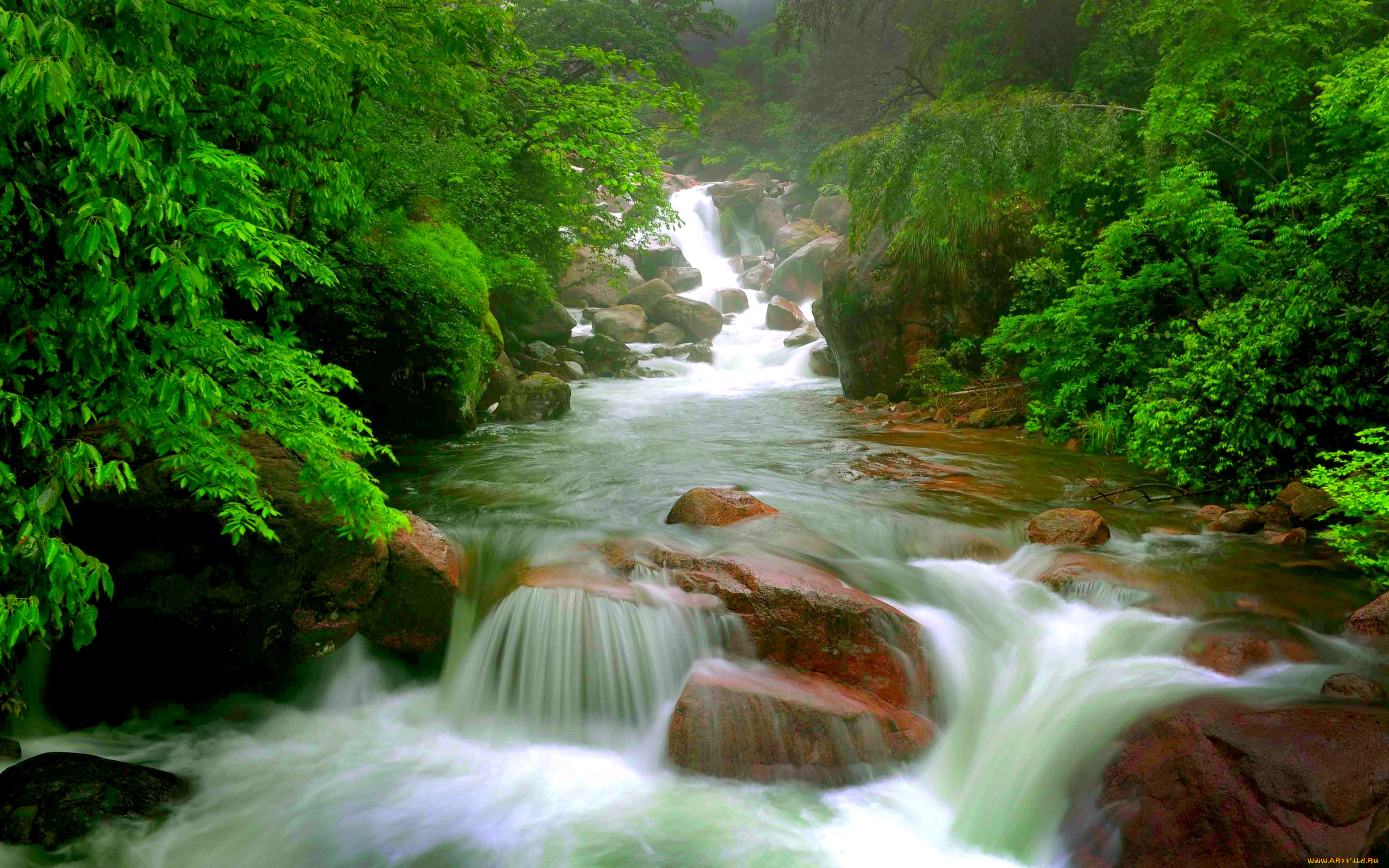 природа, реки, озера, пороги, река, лес, стремнина