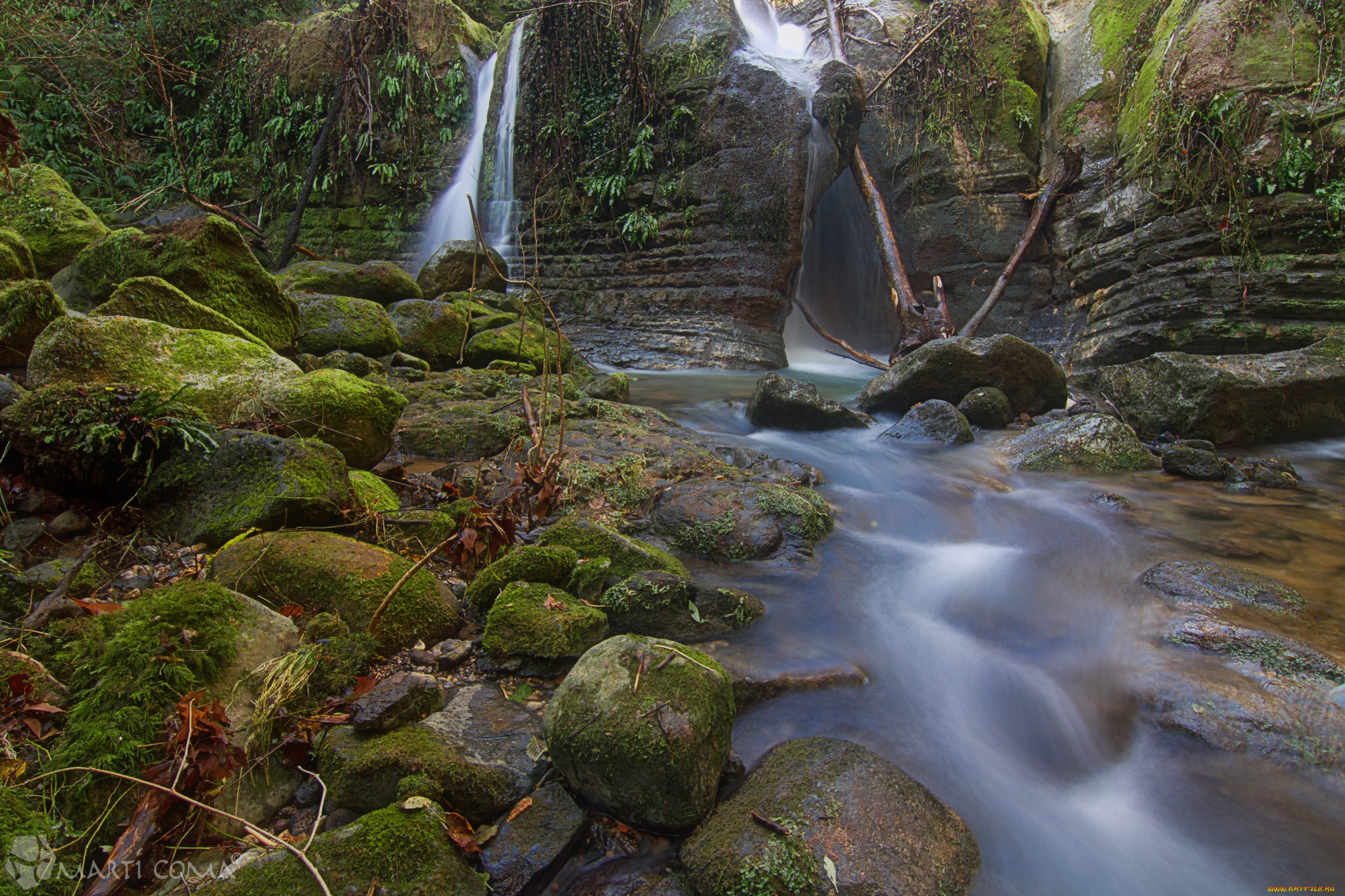 природа, реки, озера, вода, поток, камни, мох