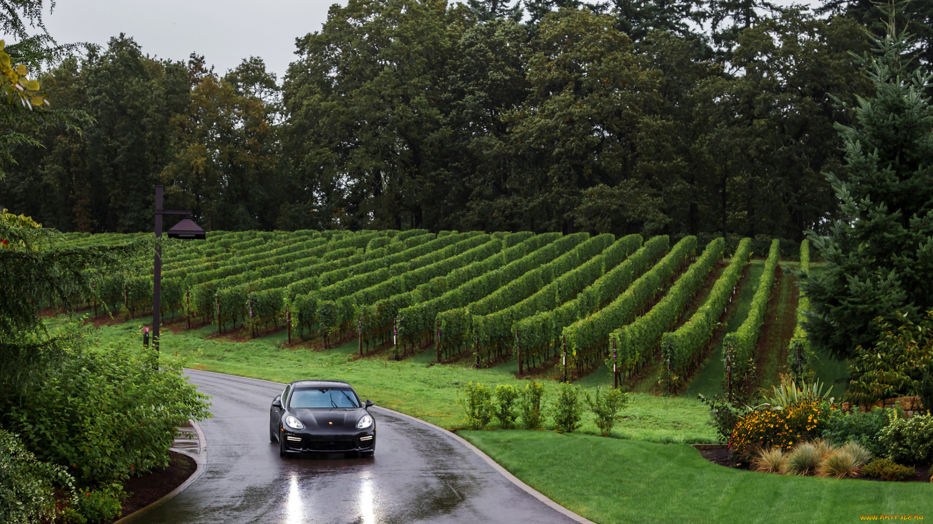 2014, porsche, panamera, turbo, executive, автомобили, porsche, виноградники, дорога, panamera