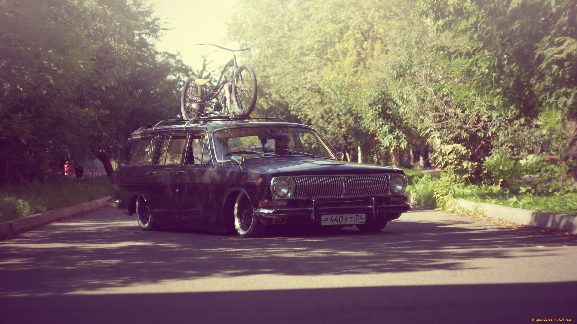автомобили, газ, gaz, lowrider, volga, 24