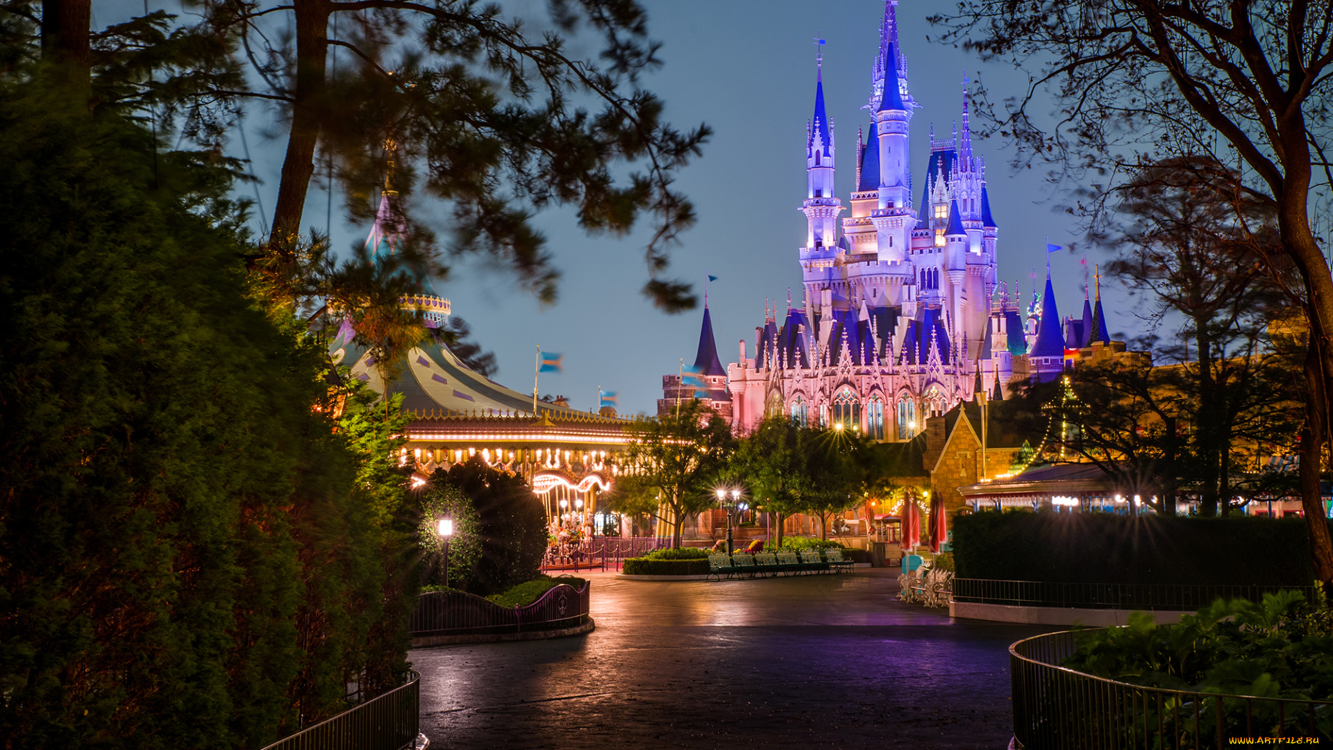 cinderella, castle, through, the, trees, города, диснейленд, парк, ночь, огни, замок, площадь