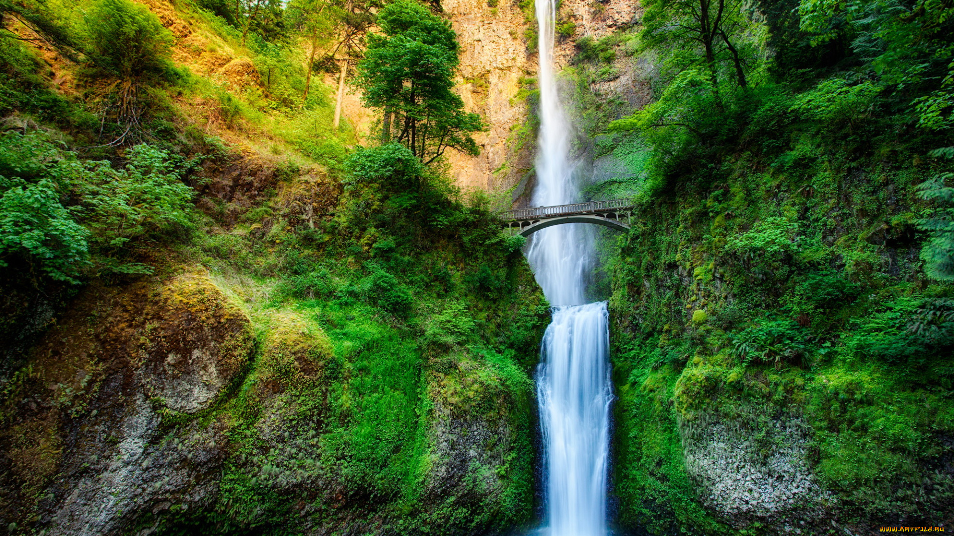 multnomah, falls, oregon, природа, водопады, водопад, oregon, falls, multnomah
