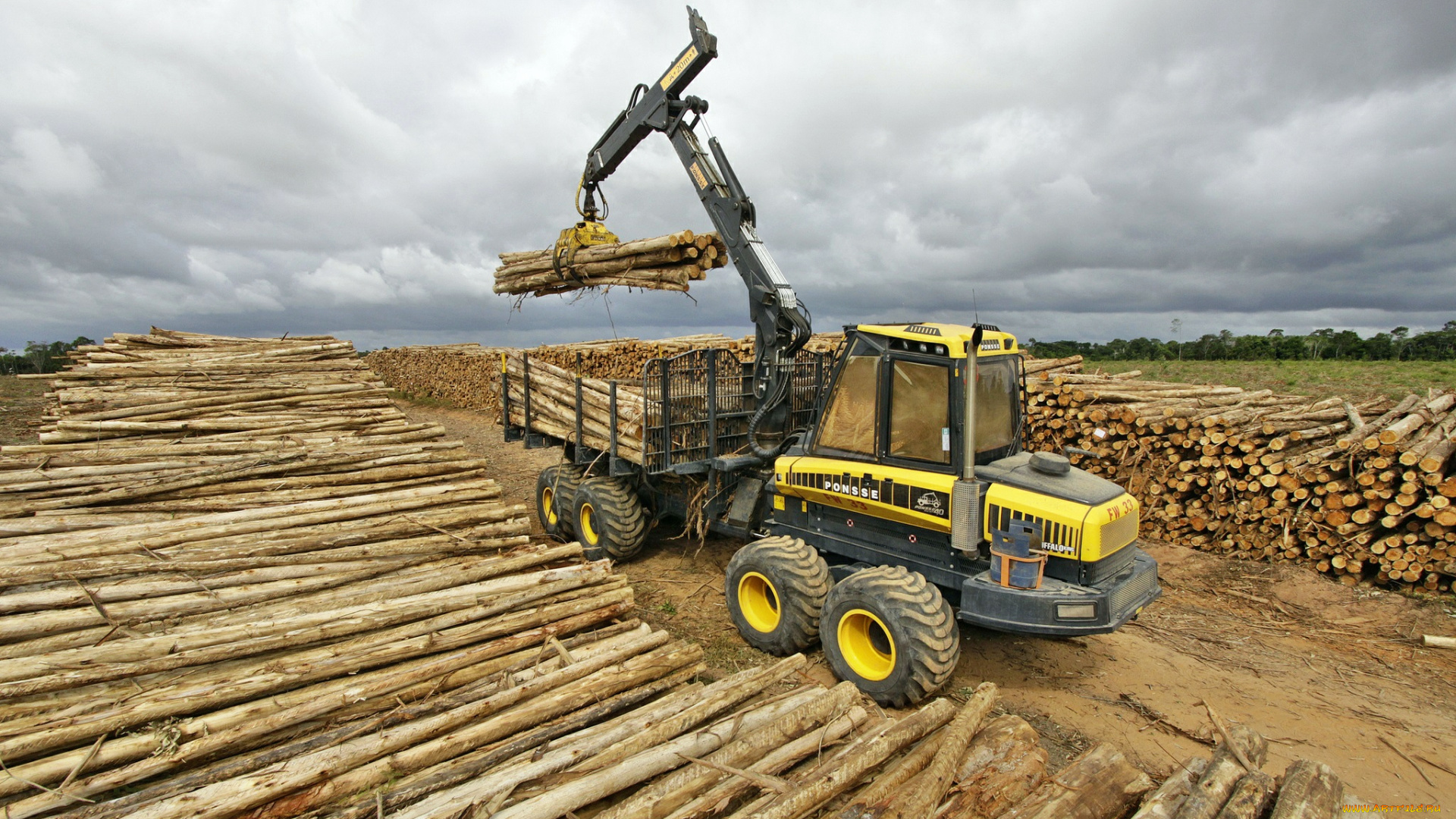 ponsse, buffalo, forwarder, техника, тракторы, универсальный, лесозаготовка, трактор, колесный