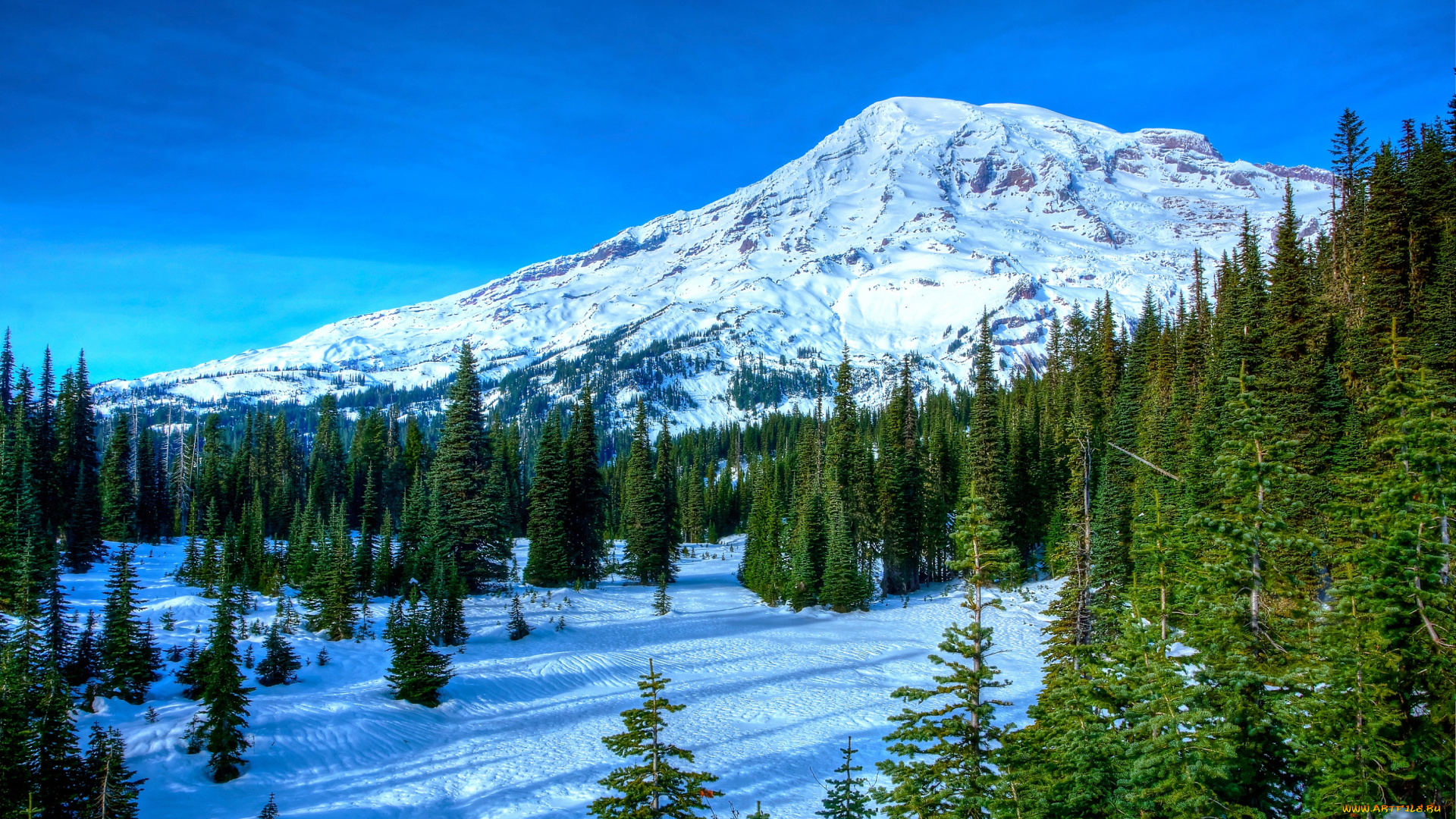 природа, горы, вершина, деревья, ель, лес, снег, небо