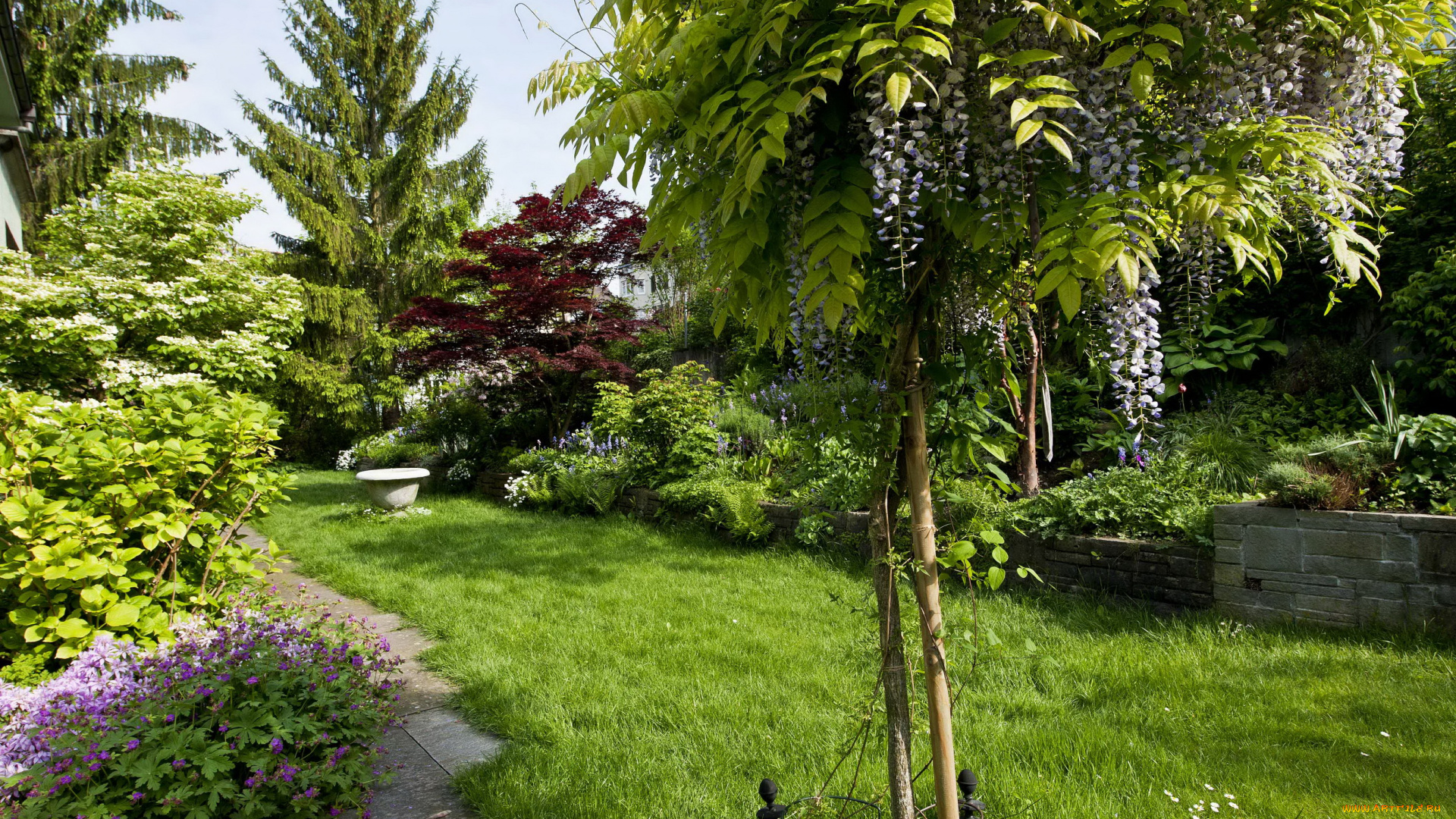 природа, парк, англия, трава, деревья