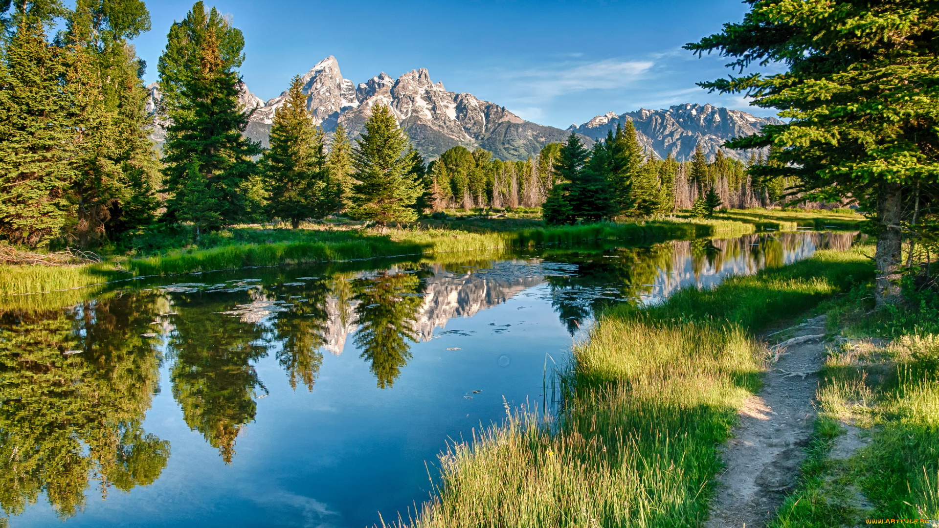 природа, реки, озера, горы, лес, река