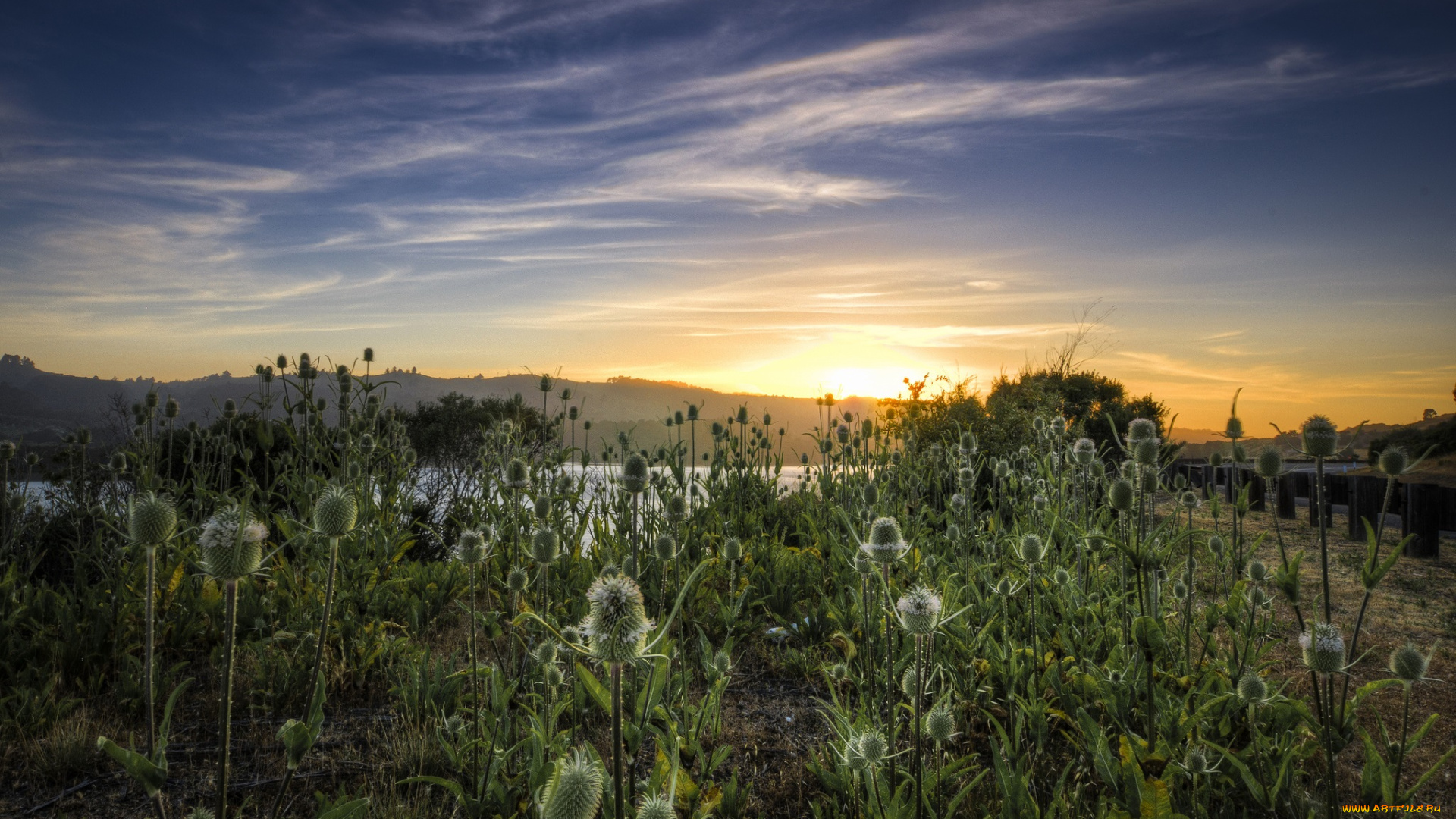 природа, восходы, закаты, луг, трава, цветы, заря