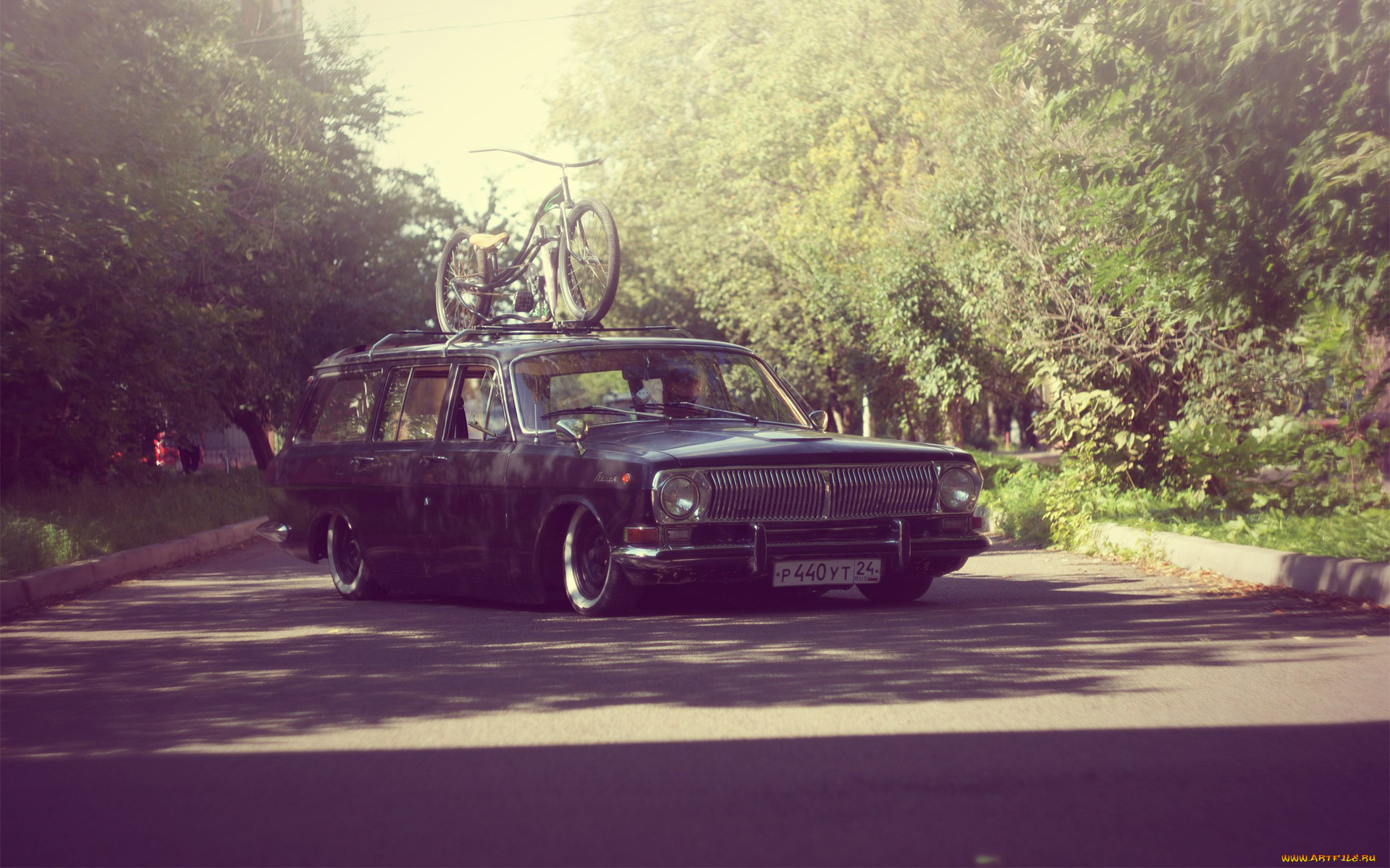 автомобили, газ, gaz, lowrider, volga, 24