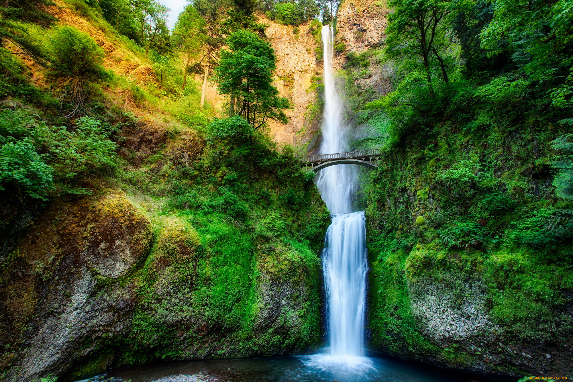 multnomah, falls, oregon, природа, водопады, водопад, oregon, falls, multnomah