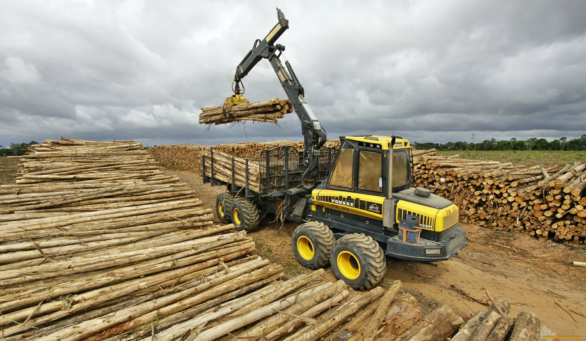ponsse, buffalo, forwarder, техника, тракторы, универсальный, лесозаготовка, трактор, колесный