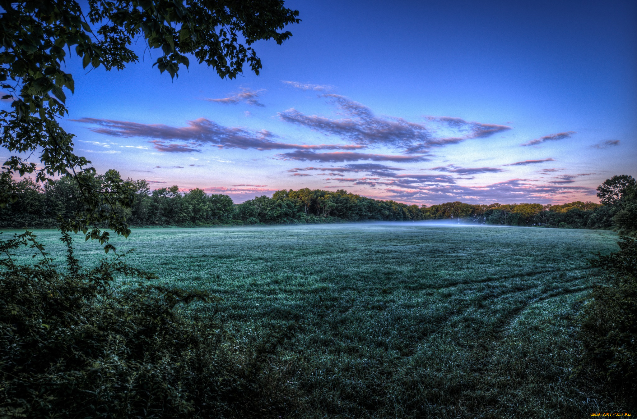 природа, поля, поле, лес, трава, туман, облака