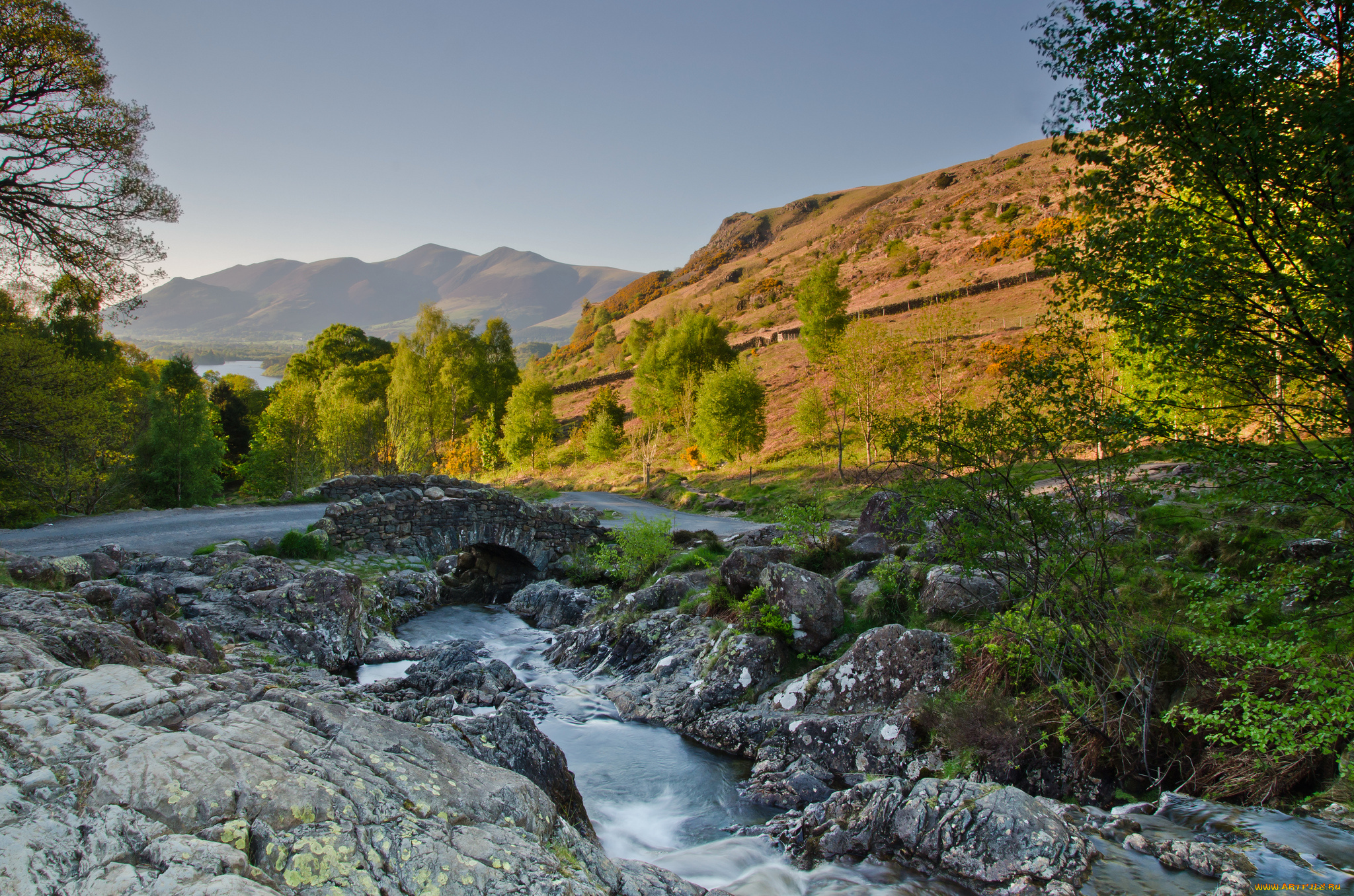 природа, реки, озера, скалы, лес, река