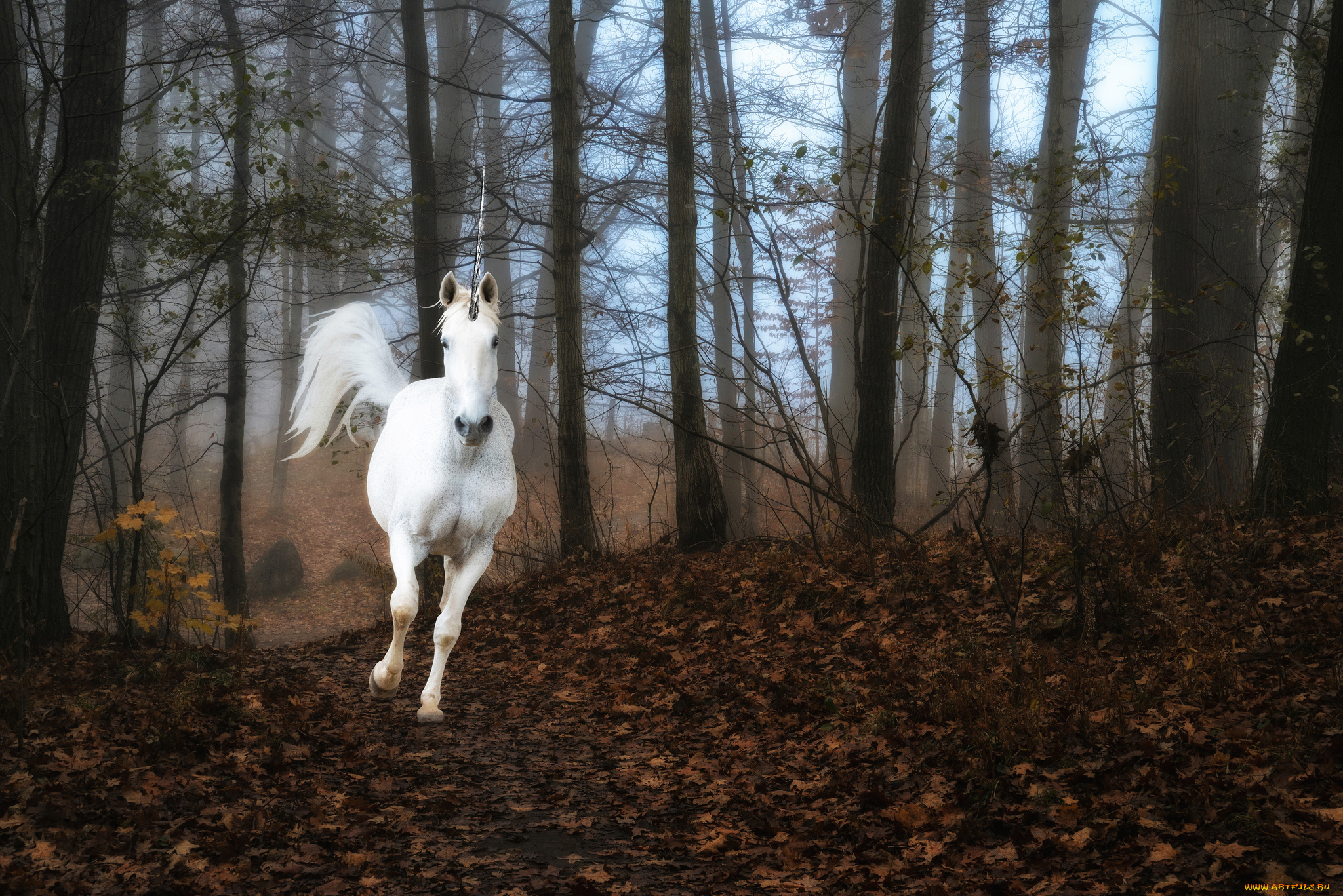 фэнтези, фотоарт, листва, осень, единорог, арт, туман, лес