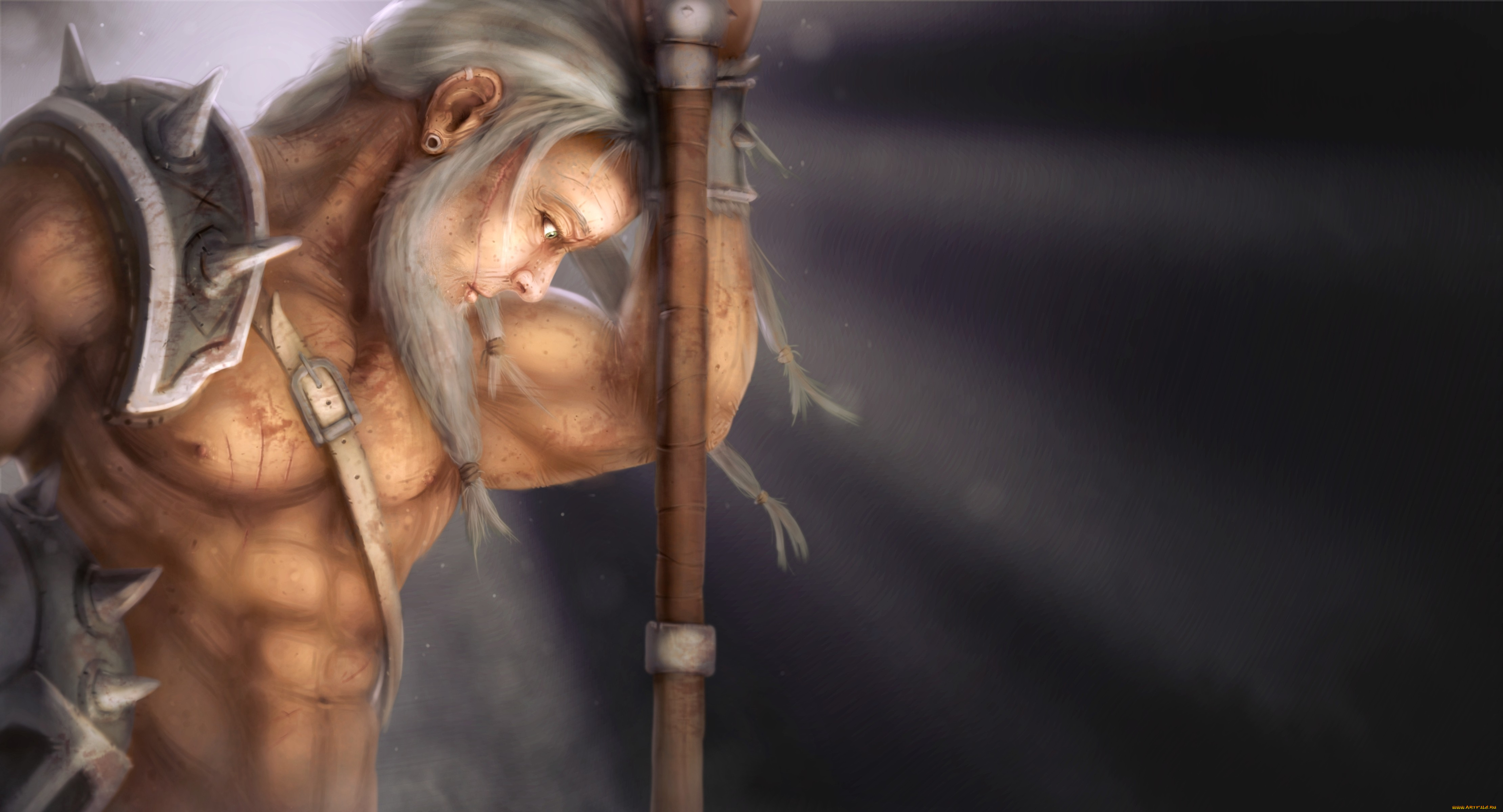 diablo, iii, видео, игры, , reaper, of, souls, оружие, reaper, of, souls, diablo, 3, варвар, barbarian, мужчина