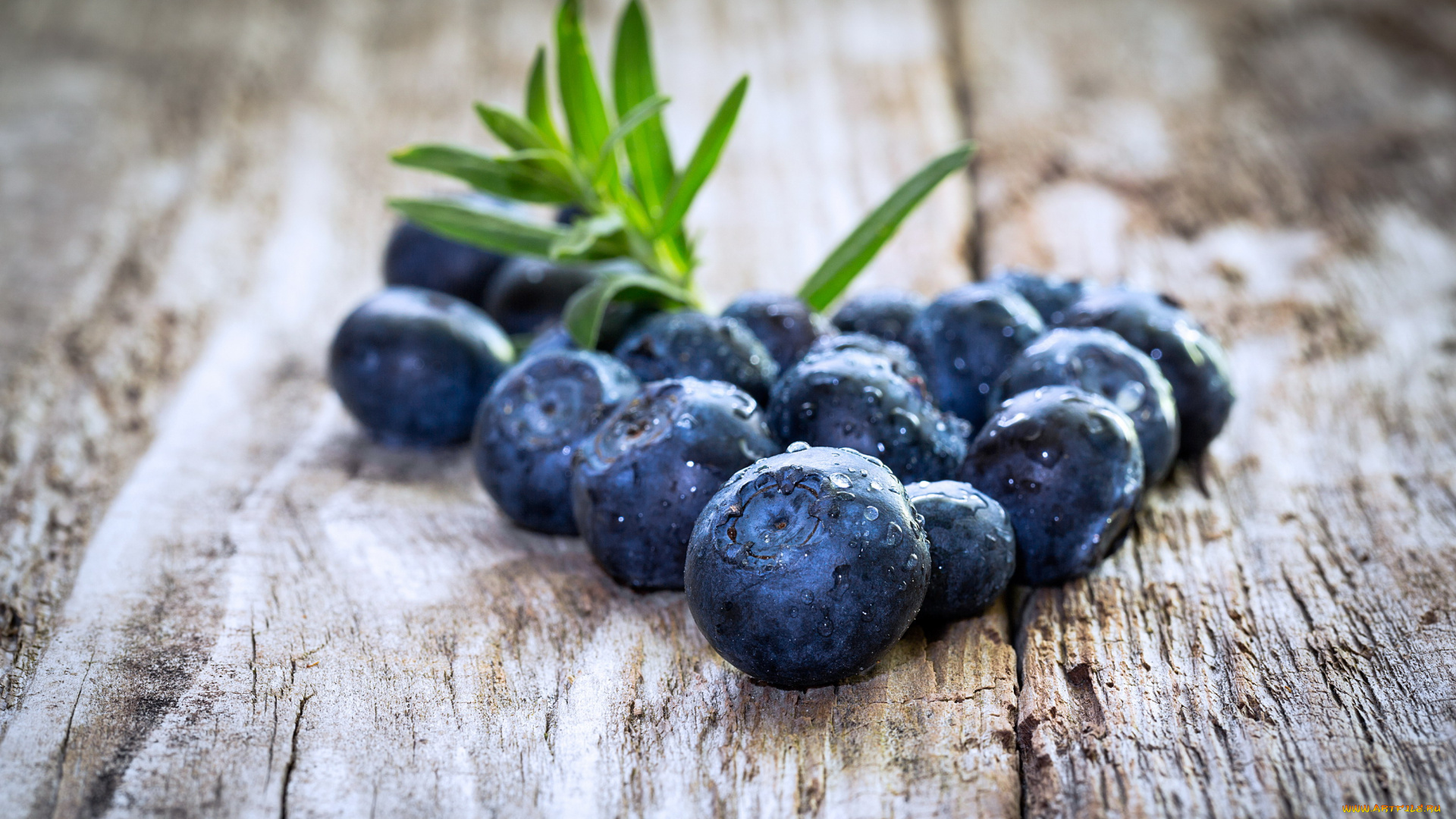 еда, голубика, , черника, капли, ягоды