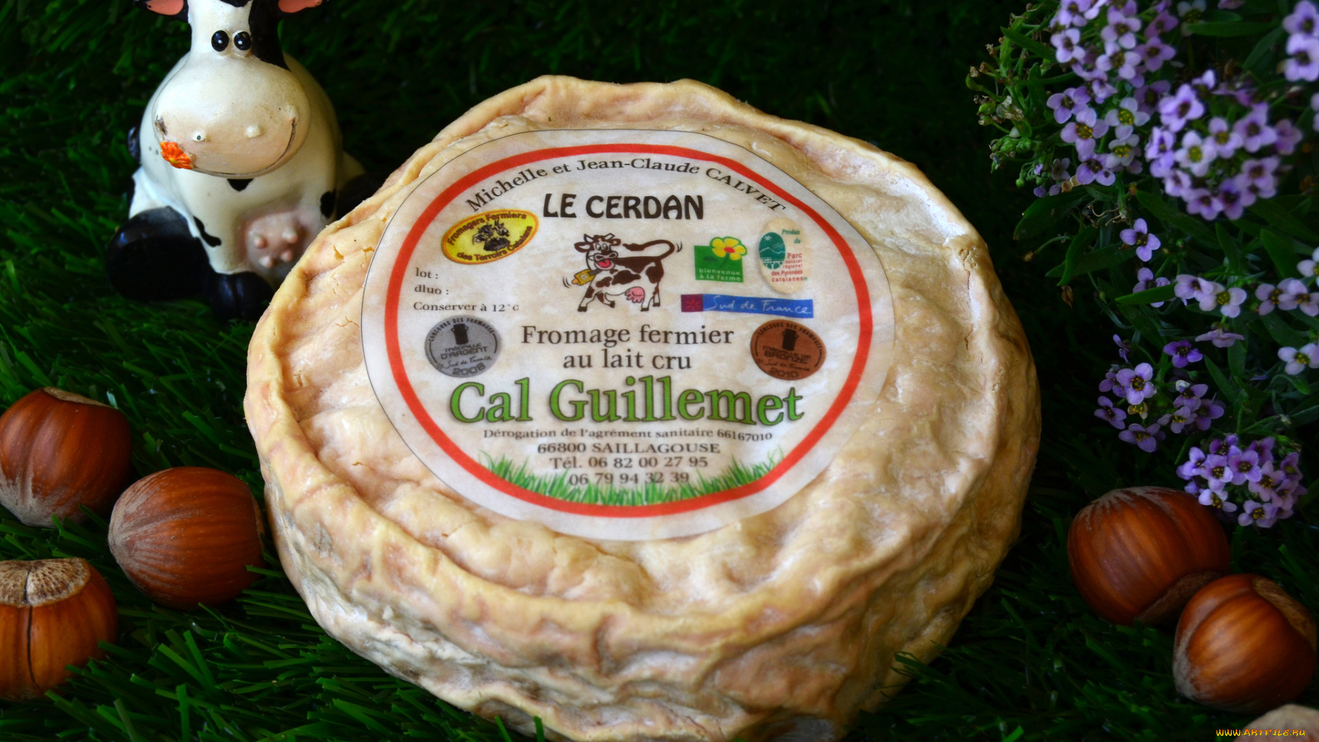 le, cerdan, еда, сырные, изделия, сыр