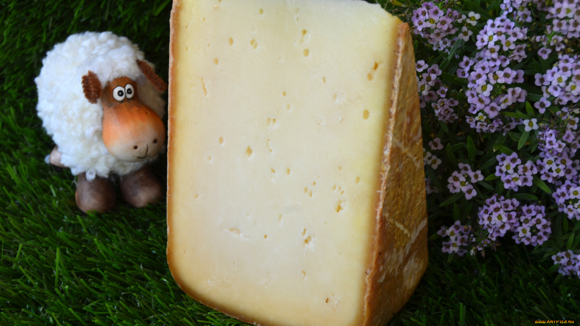 mazeris, brebis, еда, сырные, изделия, сыр