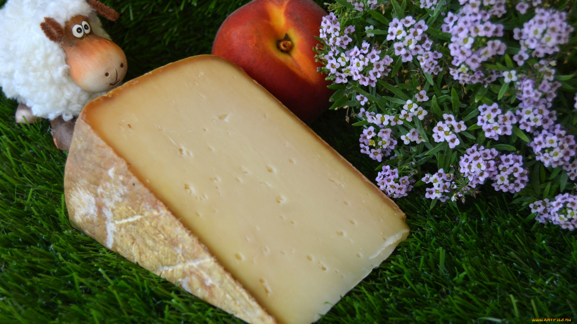 mazeris, brebis, еда, сырные, изделия, сыр