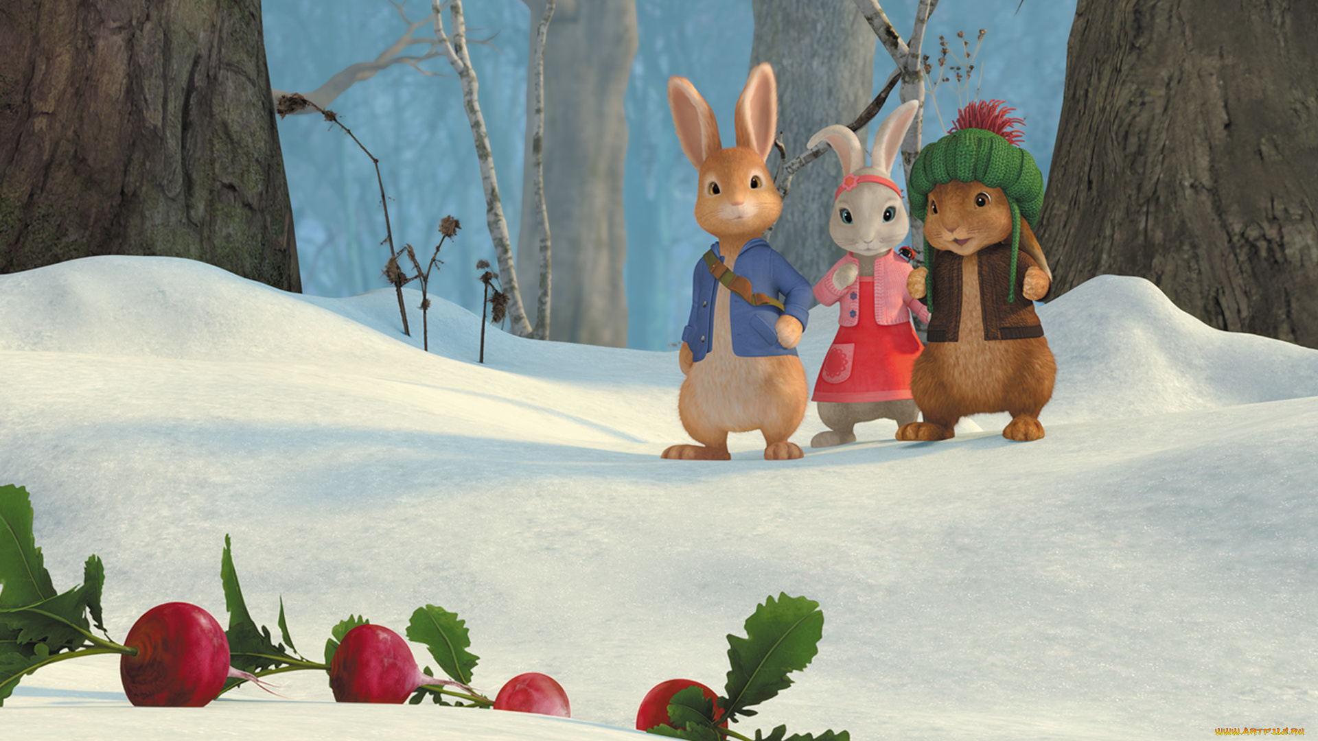 peter, rabbit, , кролик, питер, мультфильмы, -, peter, rabbit, кролики