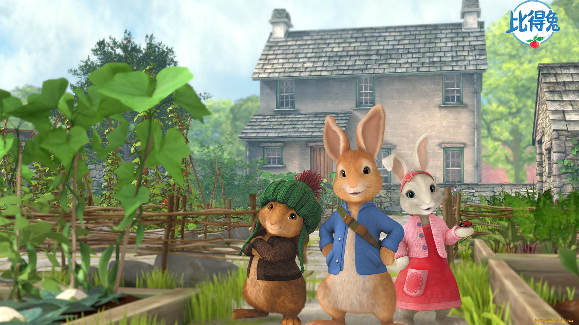 peter, rabbit, , кролик, питер, мультфильмы, -, peter, rabbit, кролики