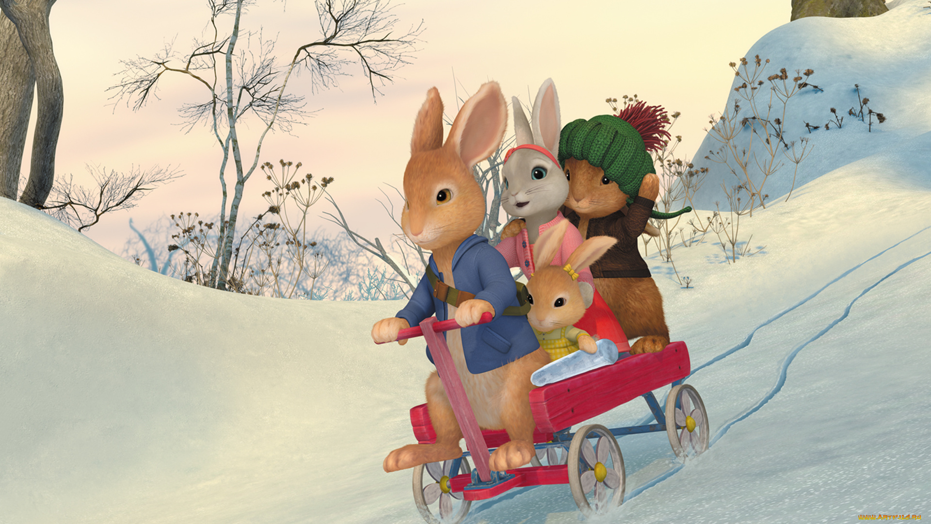 peter, rabbit, , кролик, питер, мультфильмы, -, peter, rabbit, кролики