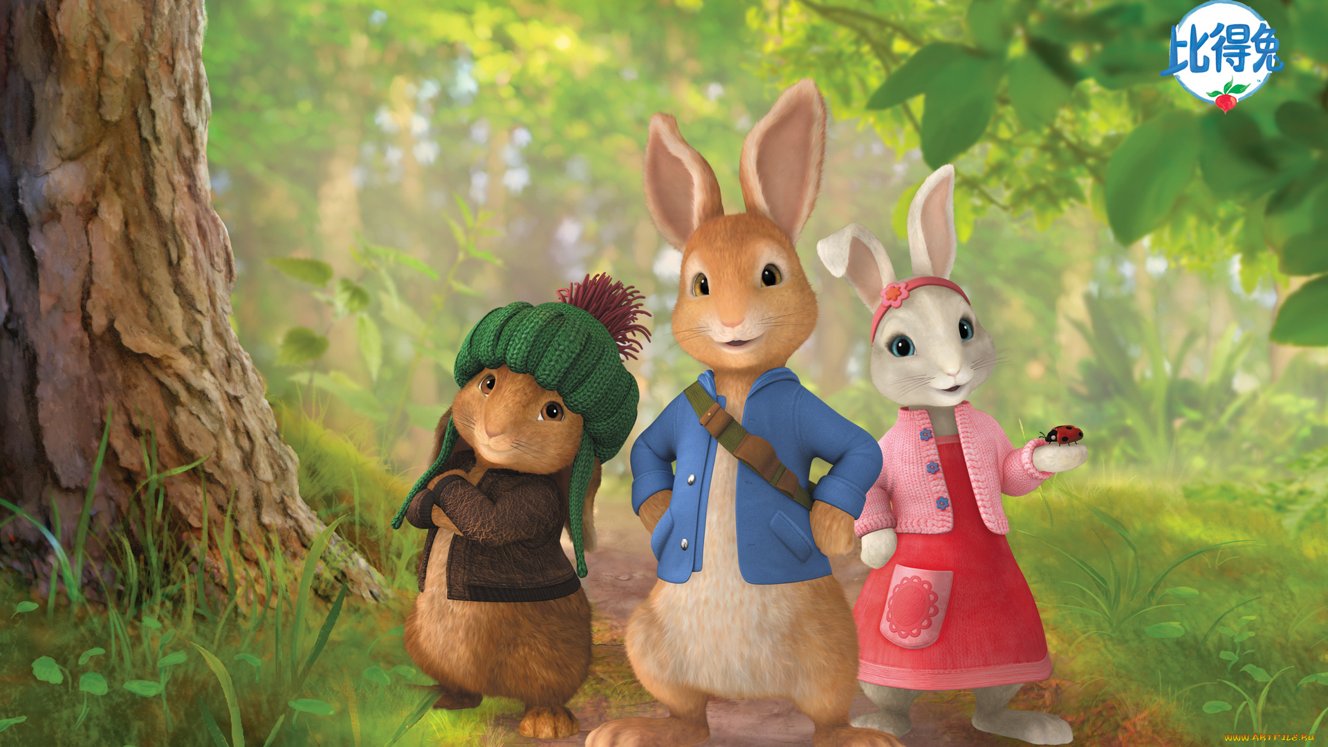 peter, rabbit, , кролик, питер, мультфильмы, -, peter, rabbit, кролики