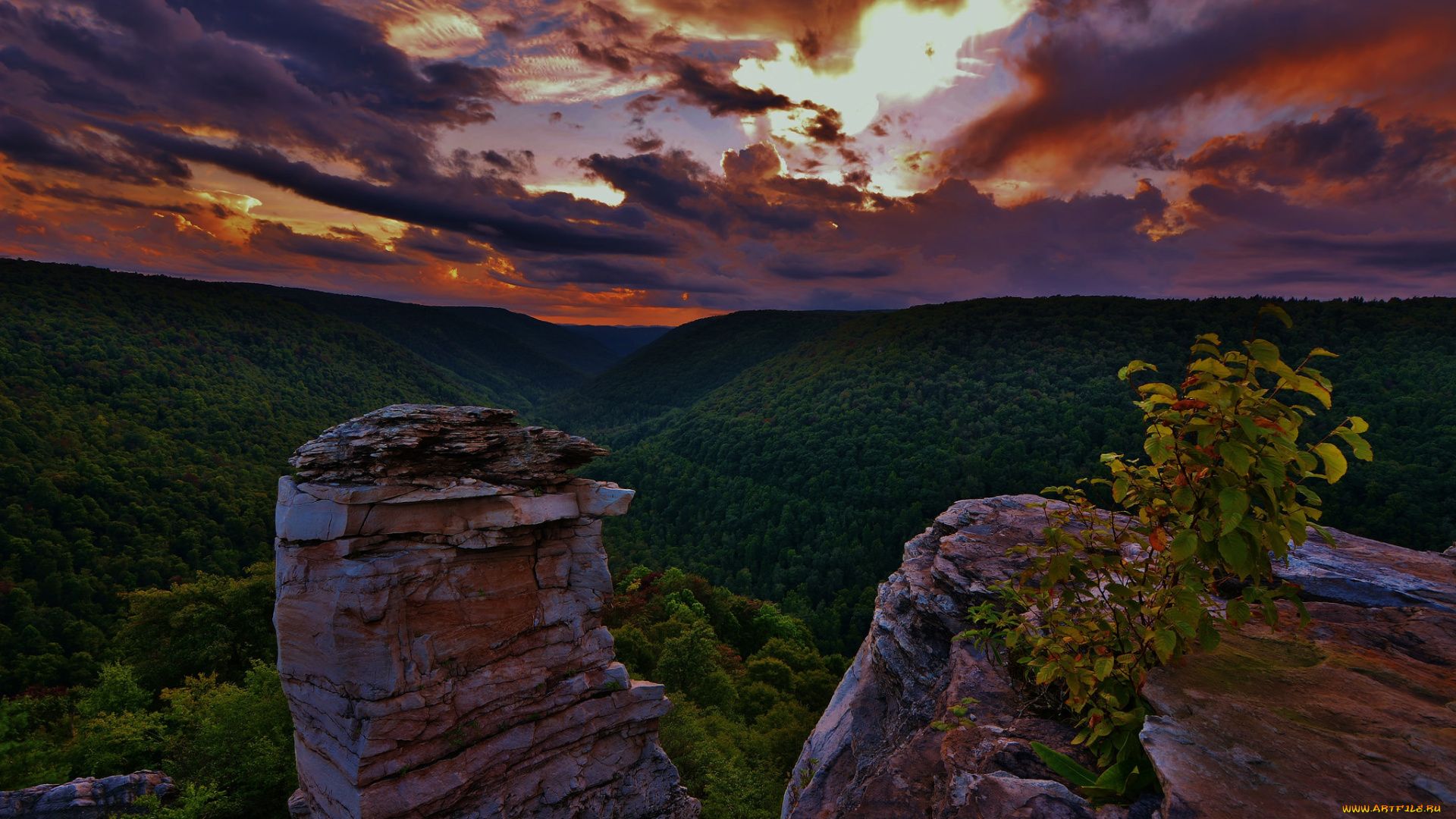 природа, горы, пейзаж, деревья, небо, облака