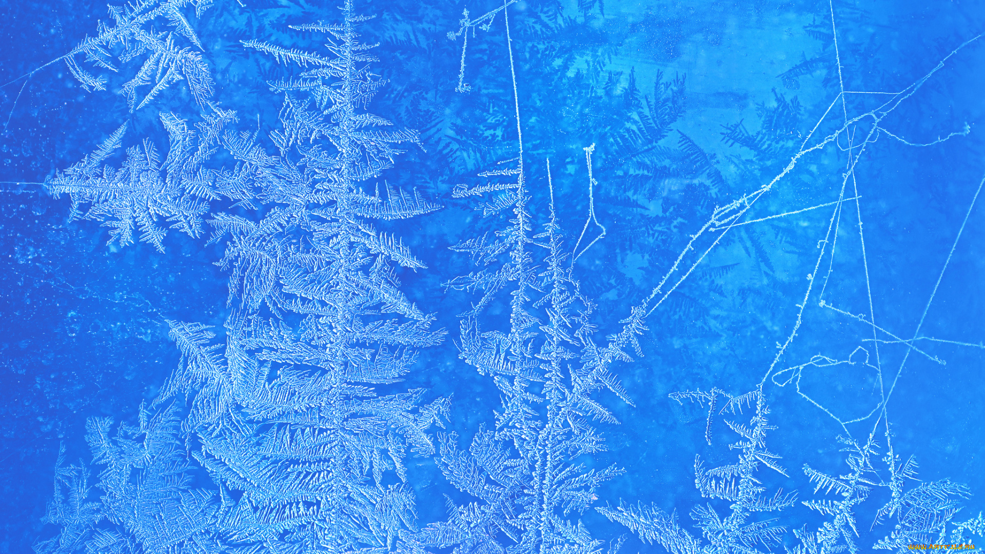 природа, макро, узор, лёд, иней