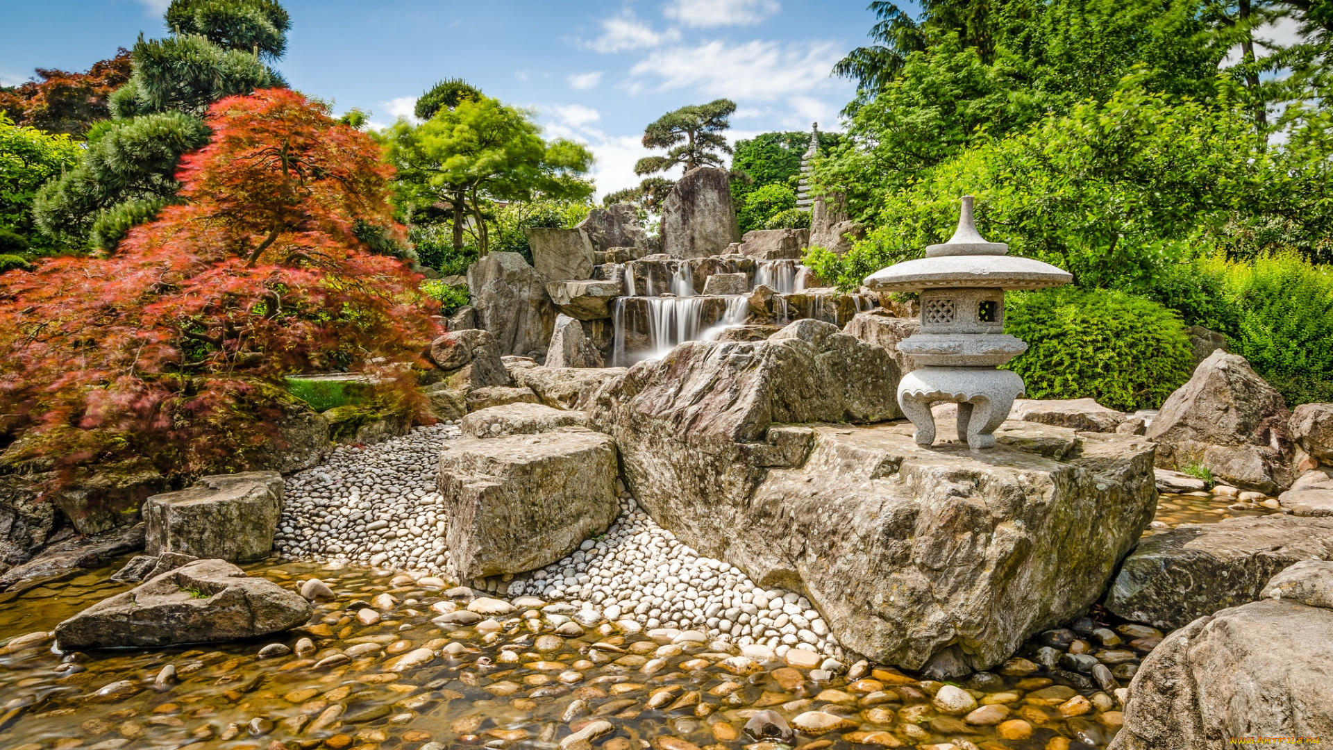 природа, парк, растительность, ручей, ступени