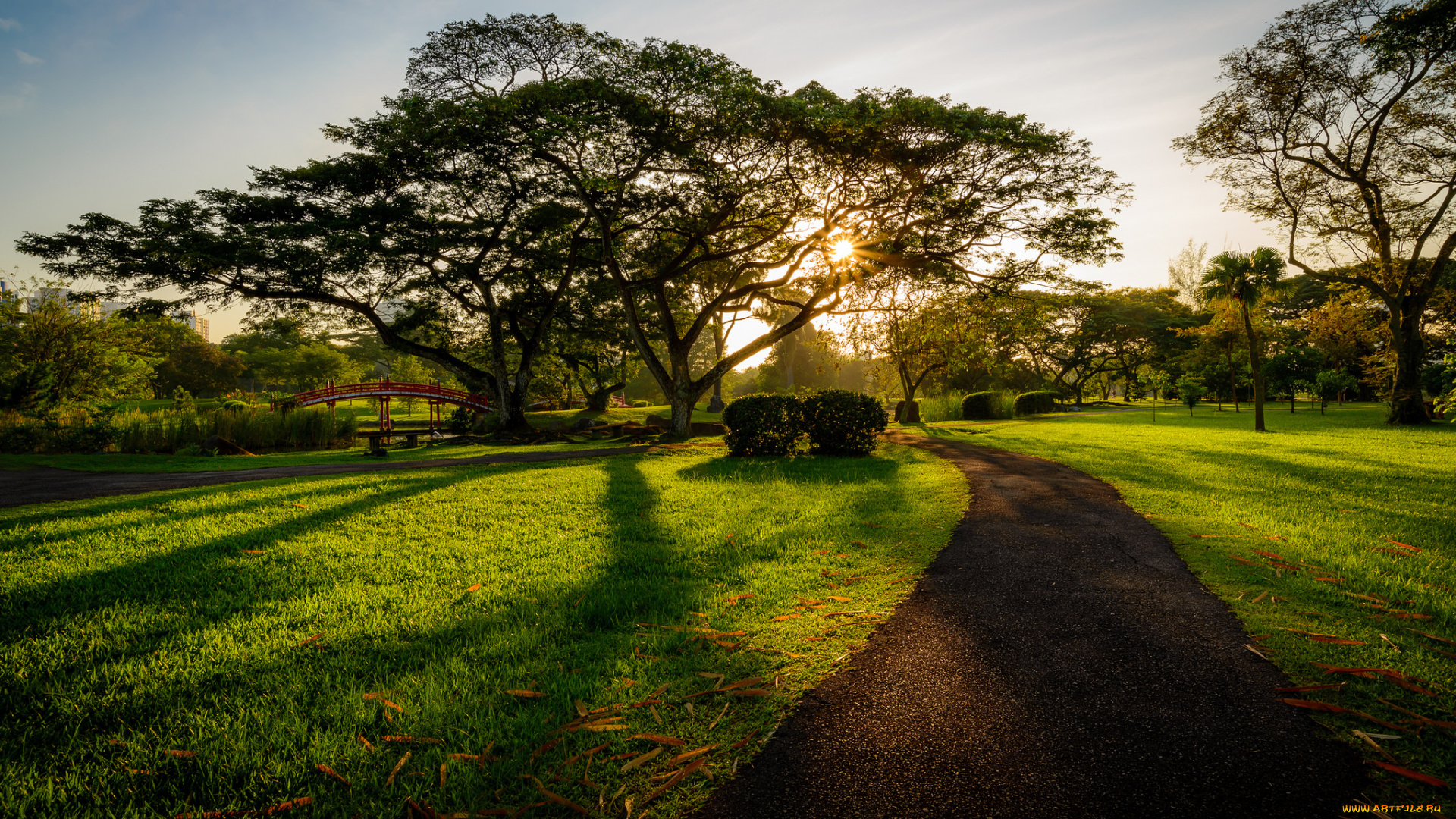 природа, парк, сияние, деревья, газон, дорожка