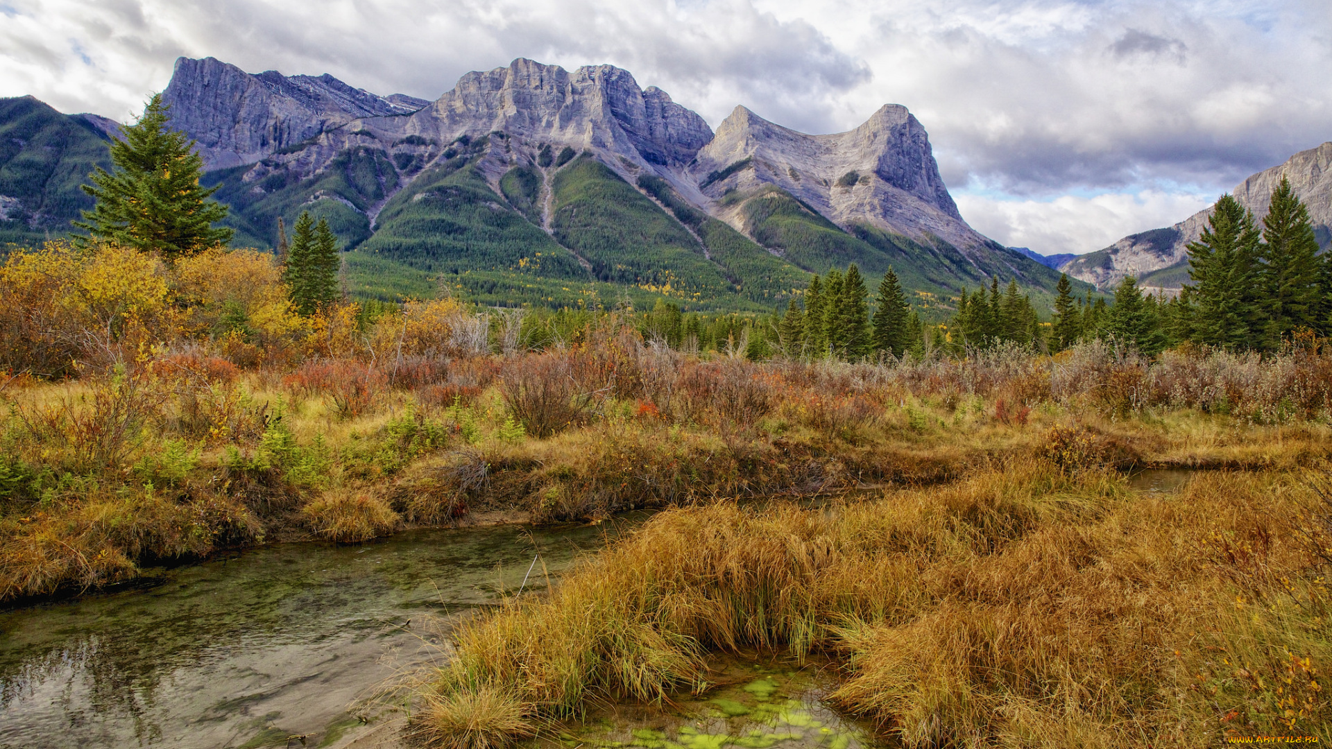 природа, реки, озера, горы, трава, ручей
