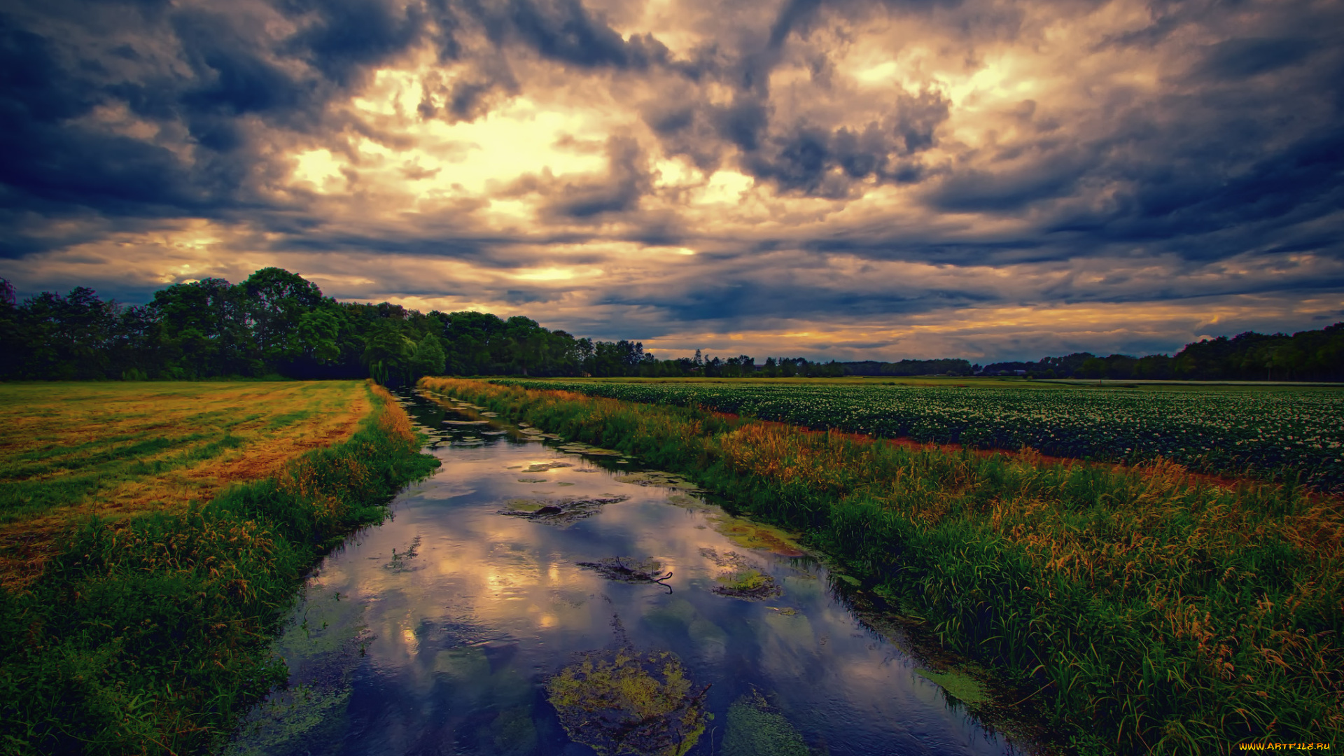 природа, реки, озера, поле, речка, тучи