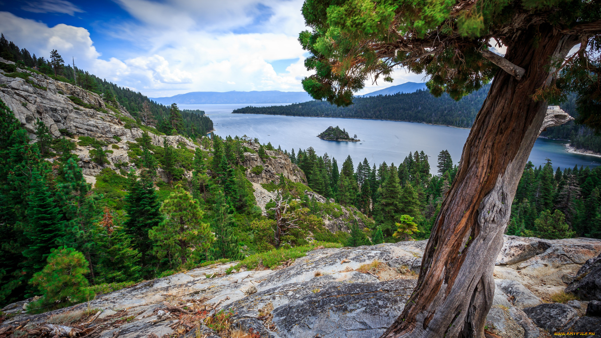 природа, реки, озера, река, горы, лес