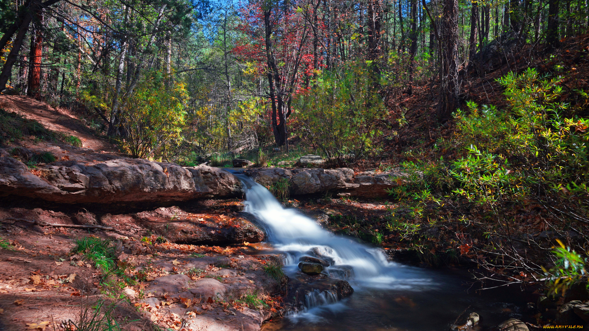 природа, реки, озера, ручей, лес