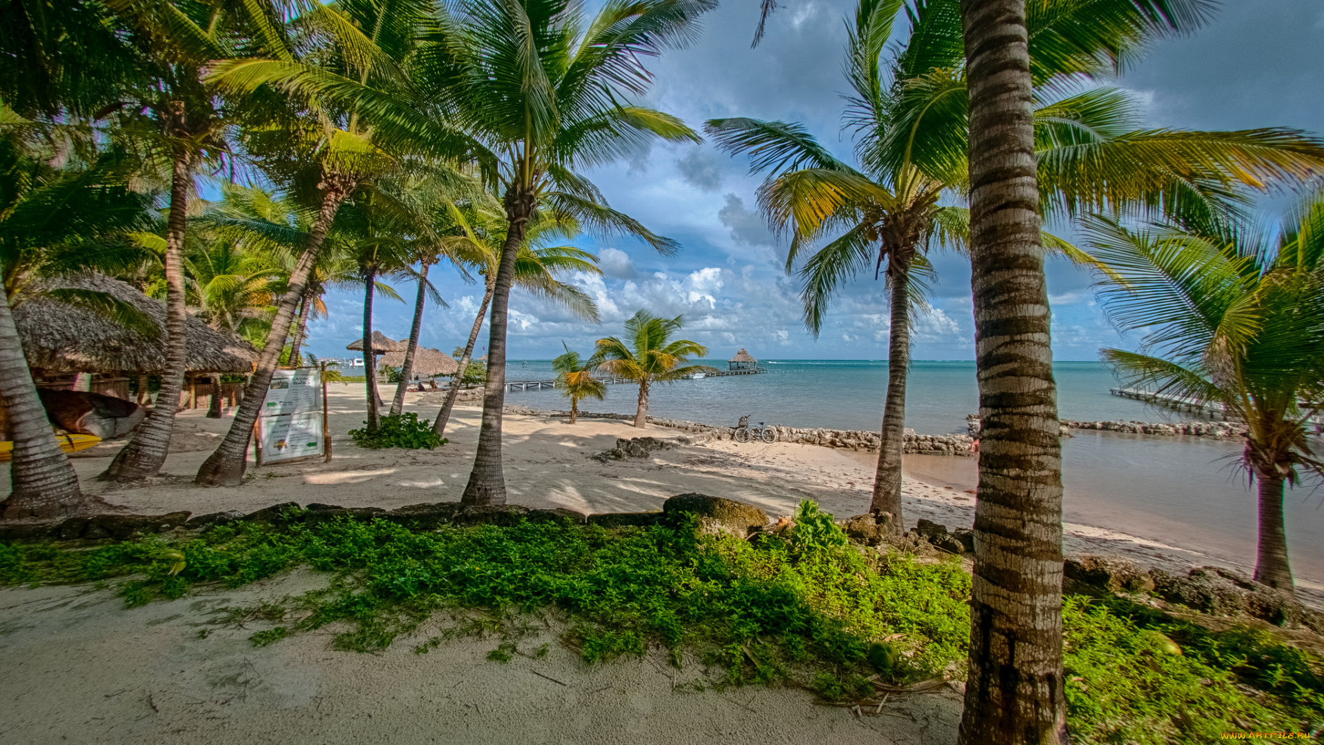 природа, тропики, океан, пляж, пальмы