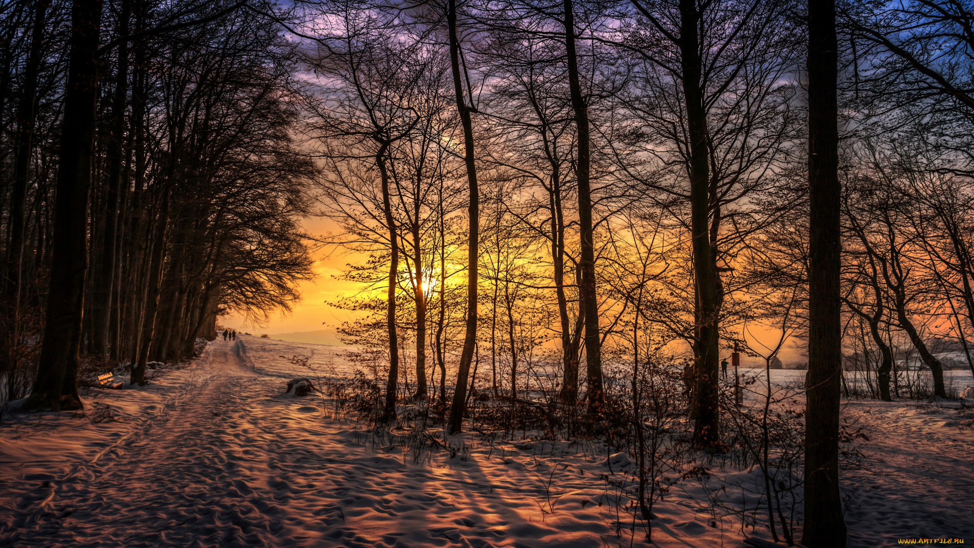 природа, восходы, закаты, прогулка, закат, люди, деревья, вечер, снег, зима, лес