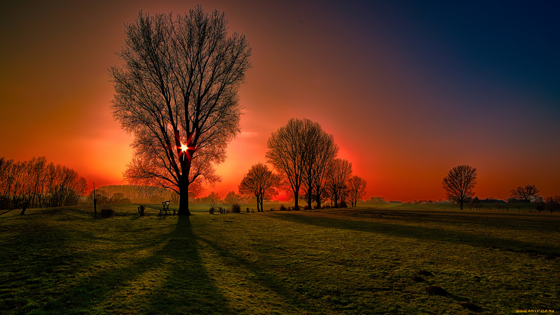 природа, восходы, закаты, солнце, деревья, поле