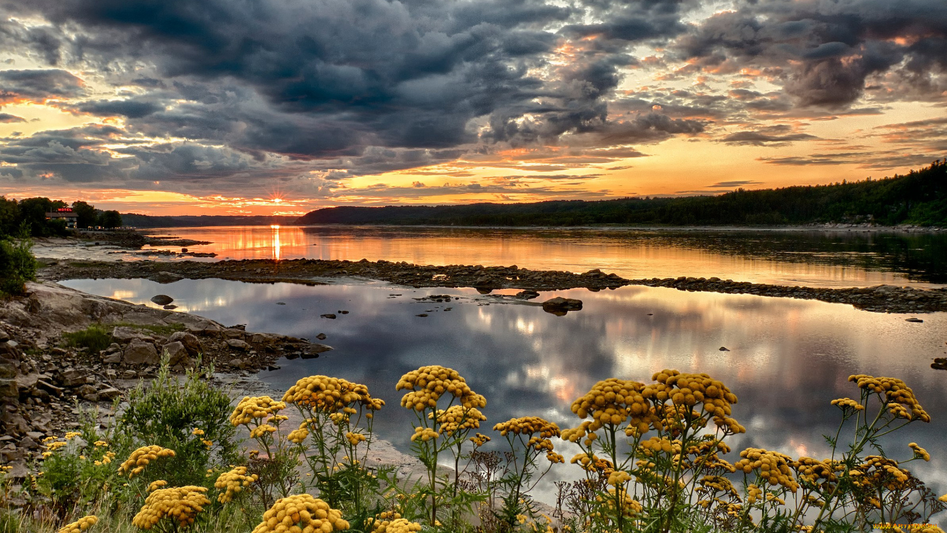 природа, восходы, закаты, сумерки, цветы, озеро
