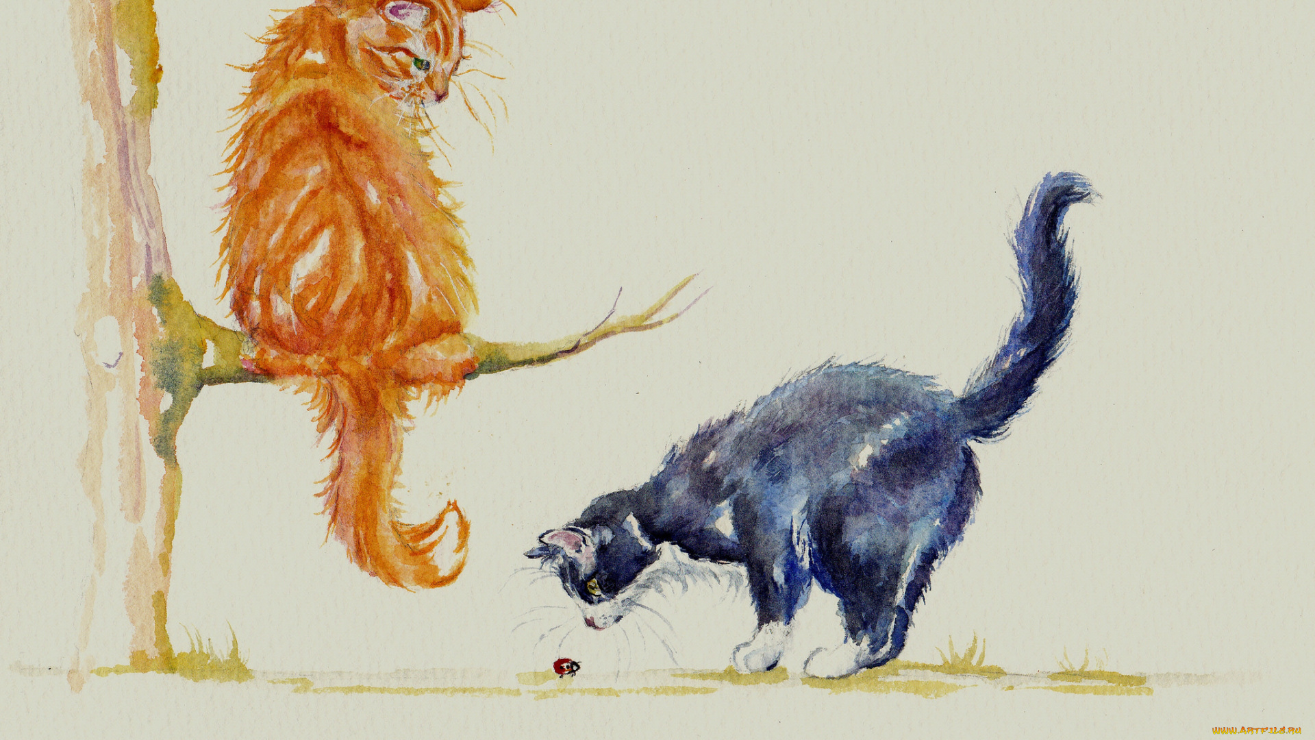 рисованное, животные, , коты, акварель, божья, коровка, коты, кошки