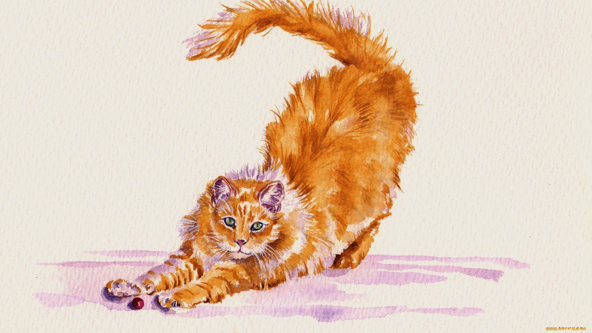 рисованное, животные, , коты, кот, потягивается, акварель, кошка