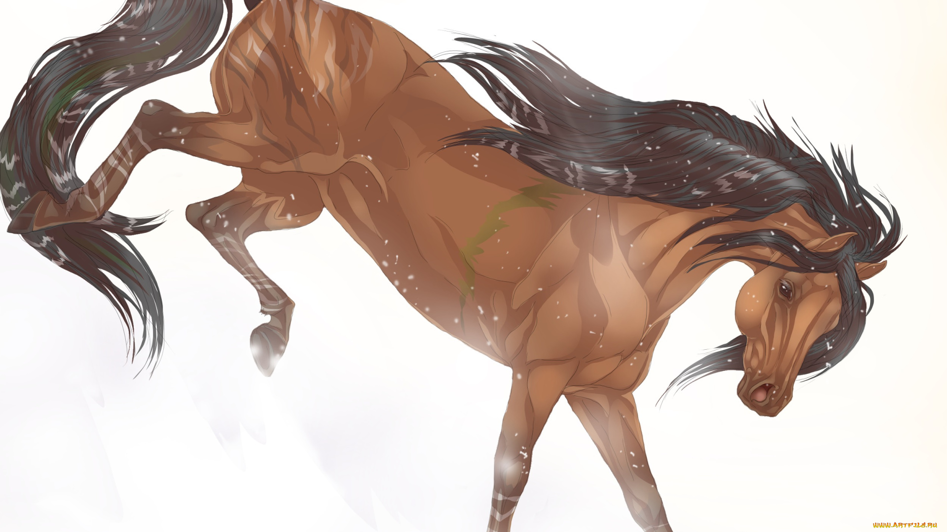 рисованное, животные, , волки, грива, снег, лошадь