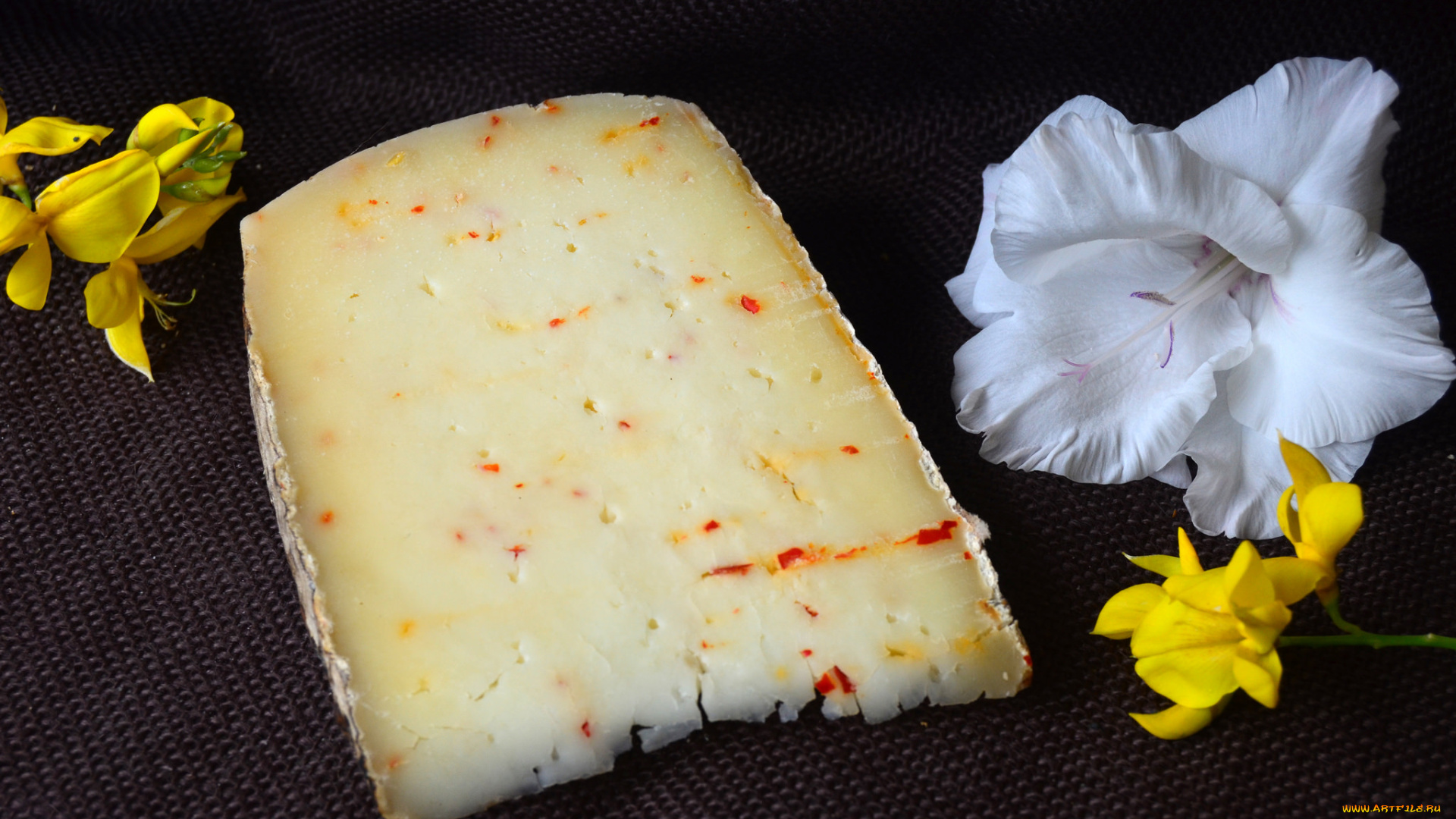 roura, soler, al, pebre, еда, сырные, изделия, сыр