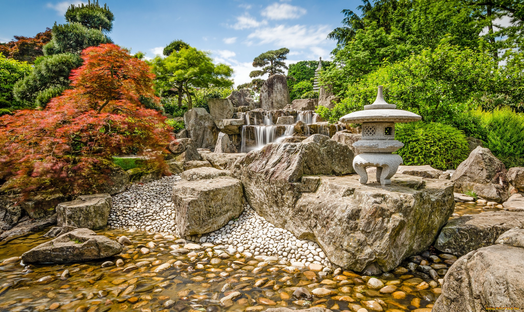 природа, парк, растительность, ручей, ступени