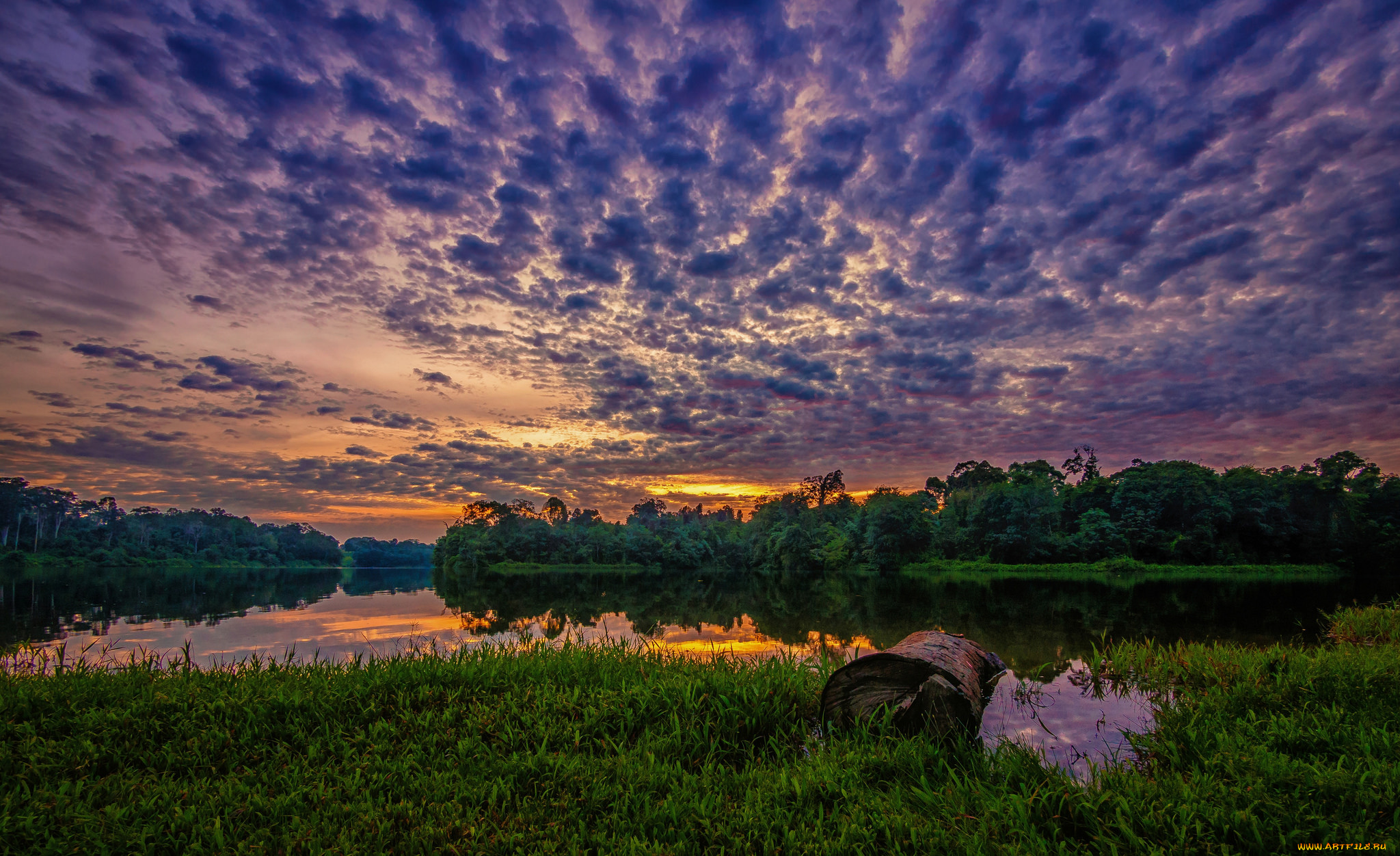 природа, восходы, закаты, лес, заря, тучи, река