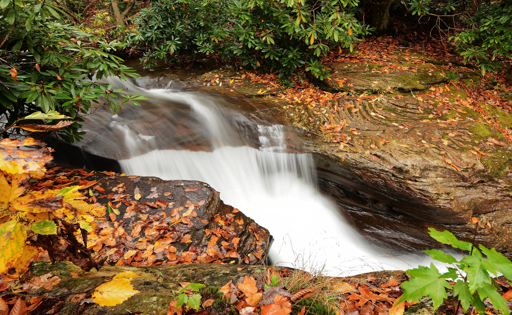 природа, водопады, водопад, stream, waterfall, осень, листья, вода, поток, autumn, leaves, water