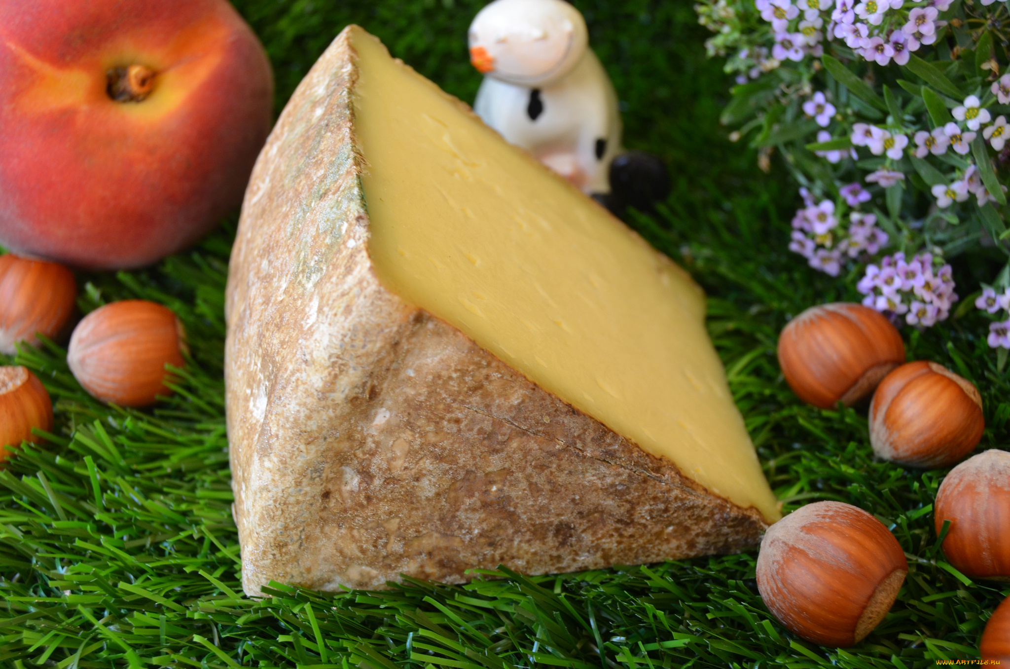 tomme, de, cerdanya, еда, сырные, изделия, сыр