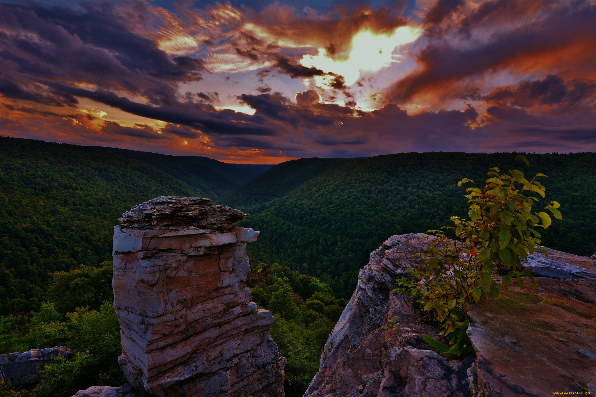 природа, горы, пейзаж, деревья, небо, облака
